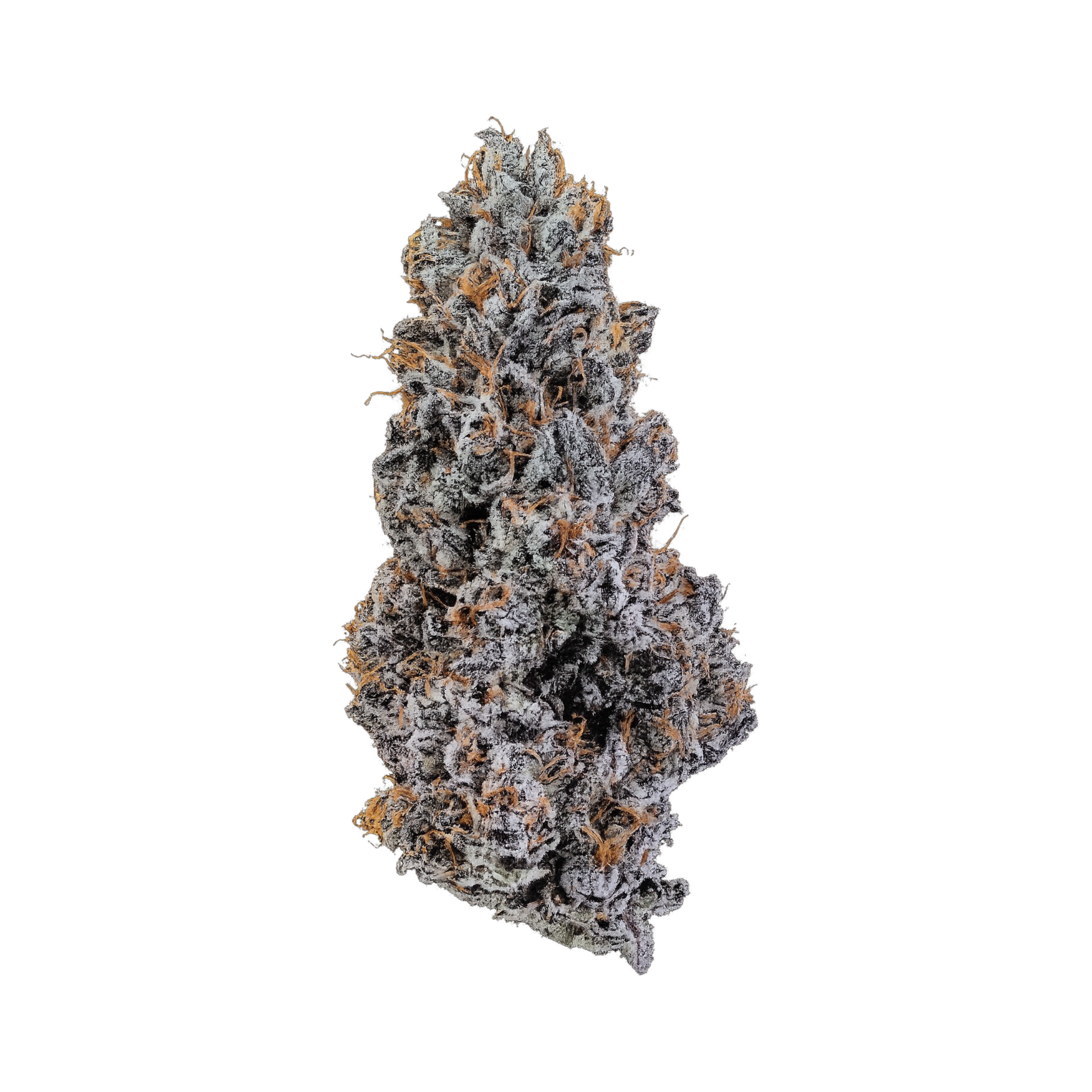 24/1 IUVO OC Ice Burn