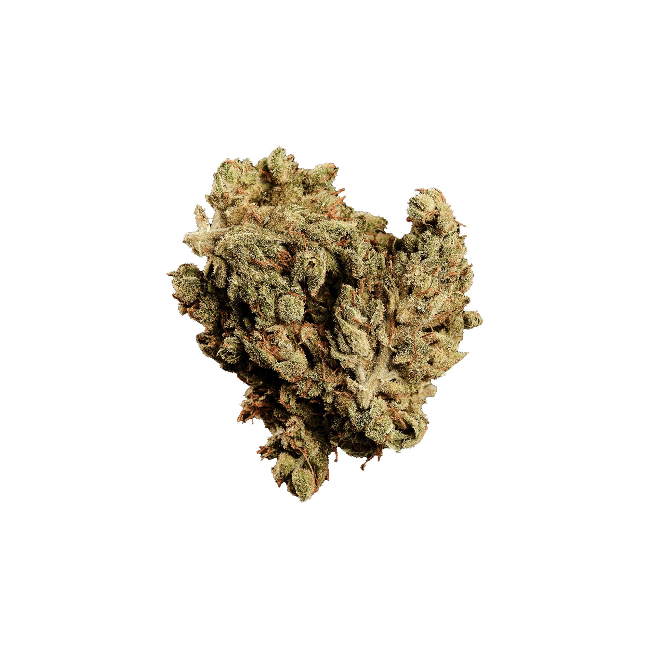 420 Balanced Basic PT SLG product photo