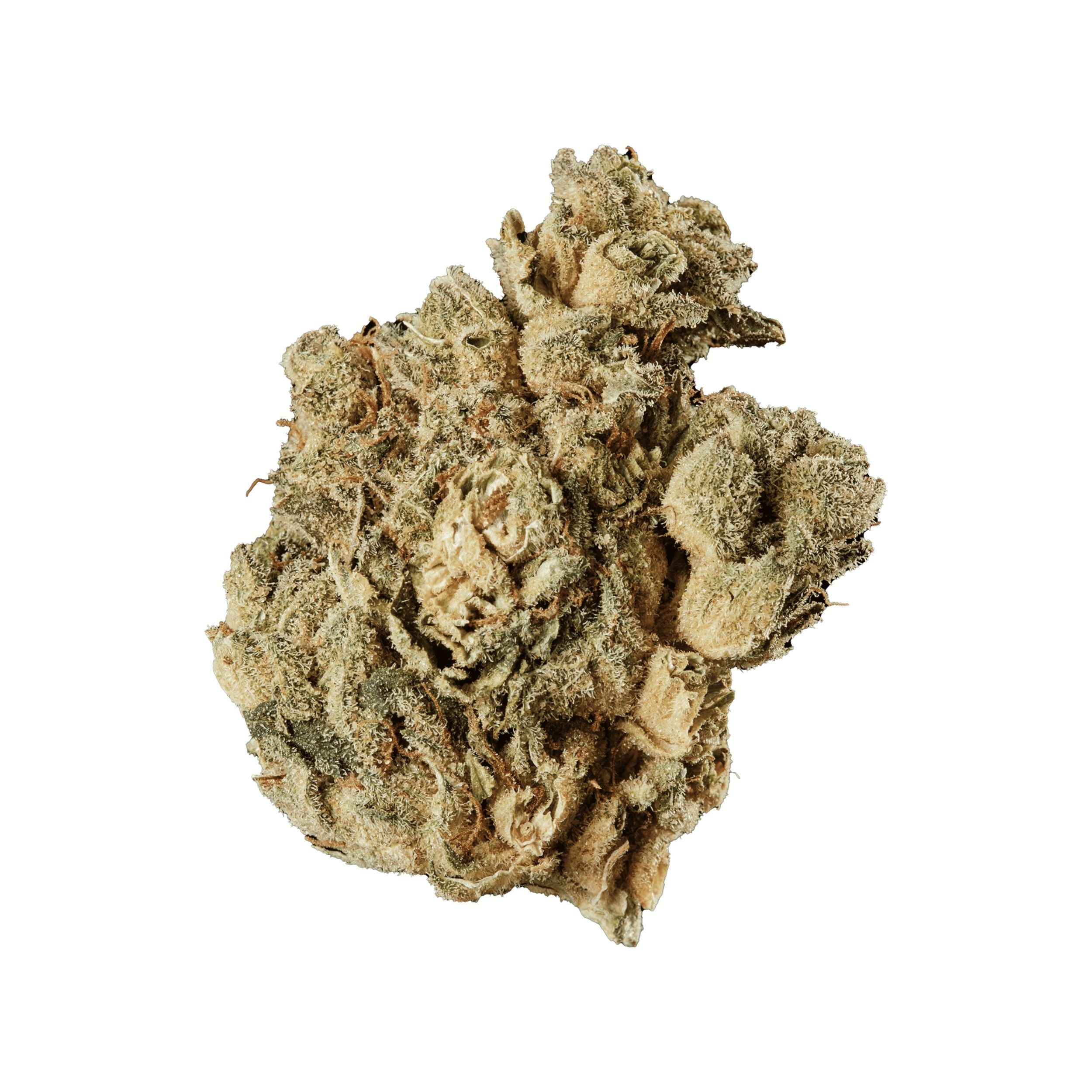 420 Evolution 20/1 CA PVB Produktfoto