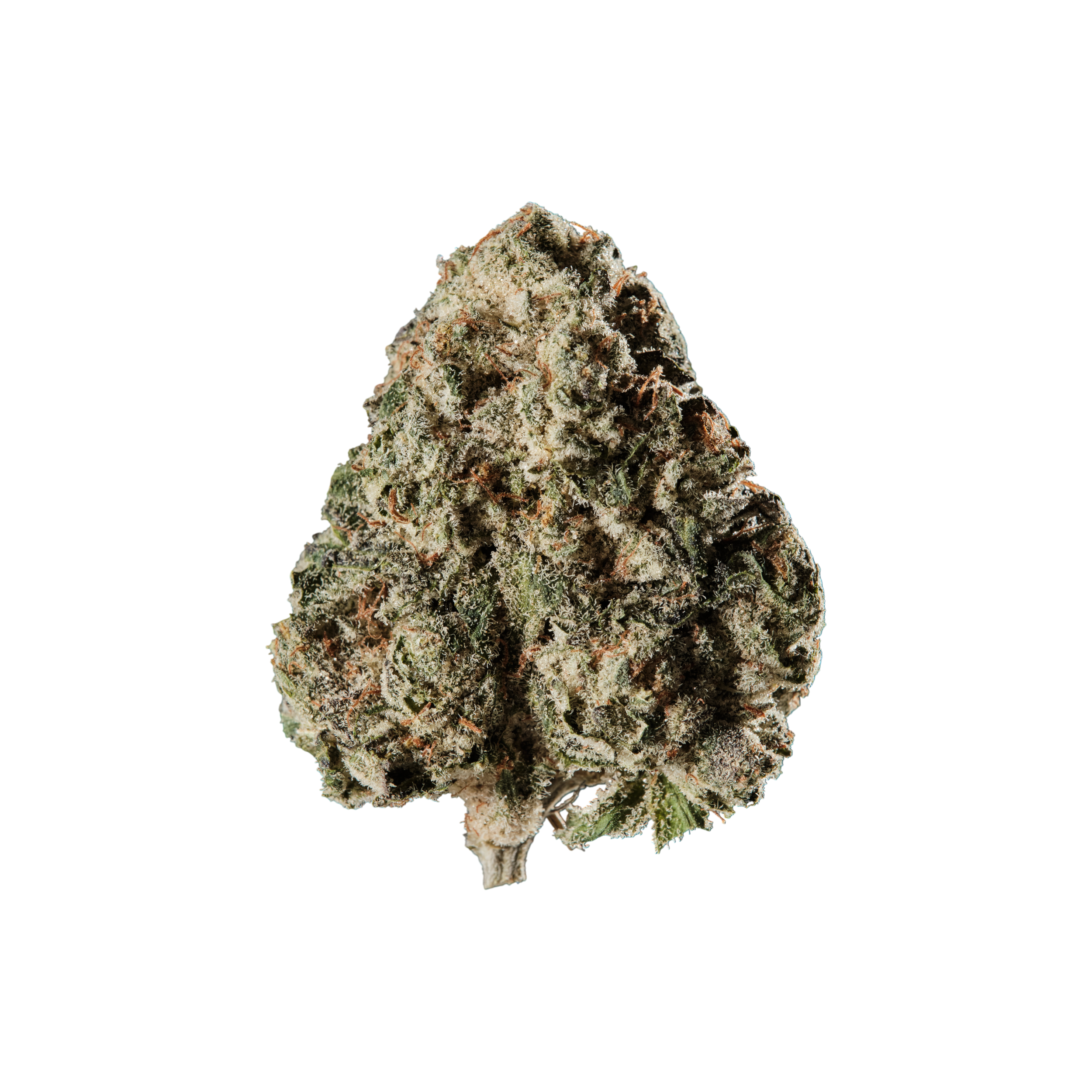 420 Evolution 30/1 CA FFC