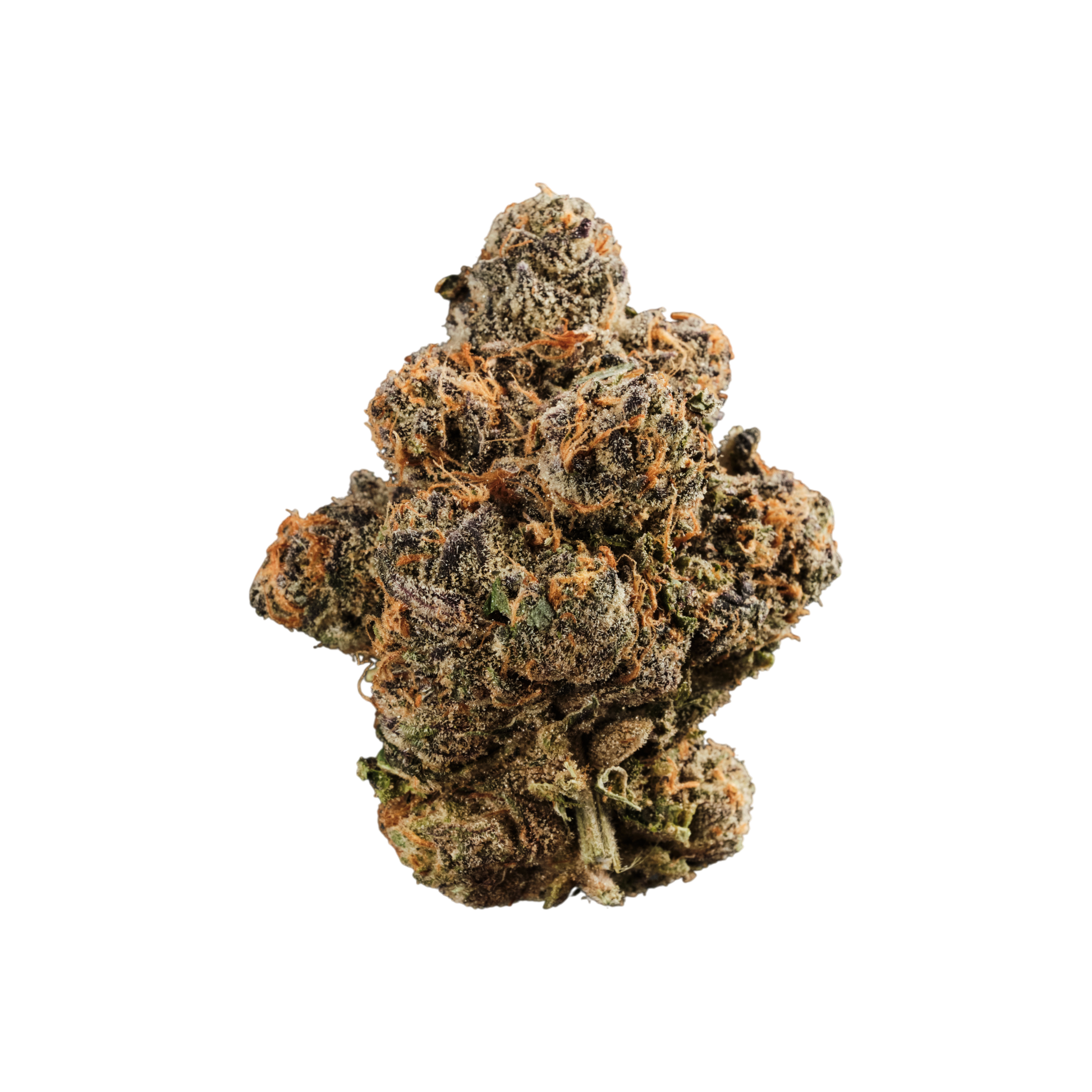 420 Compound 33/1 GAP