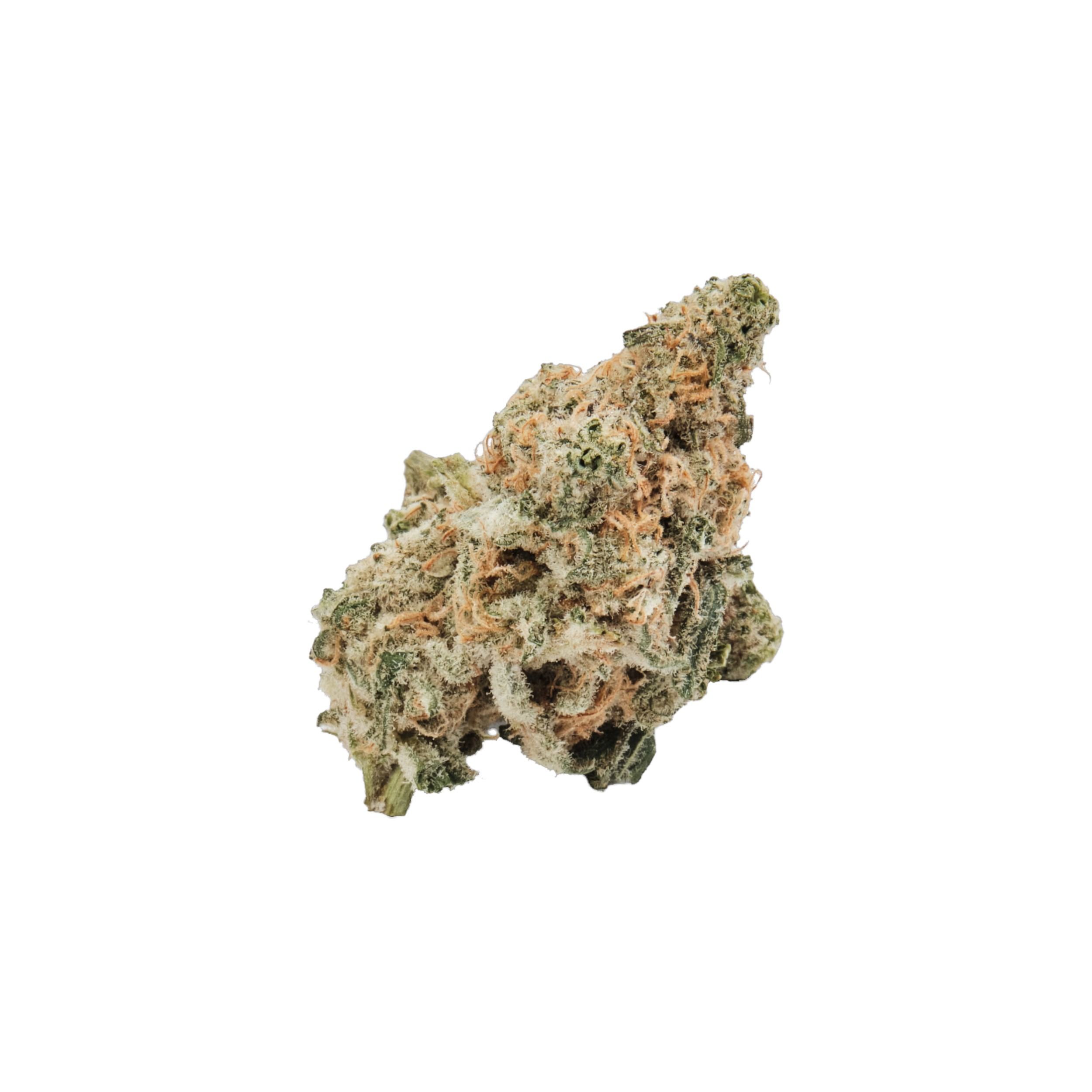 420 Evolution 22/1 CA MAC