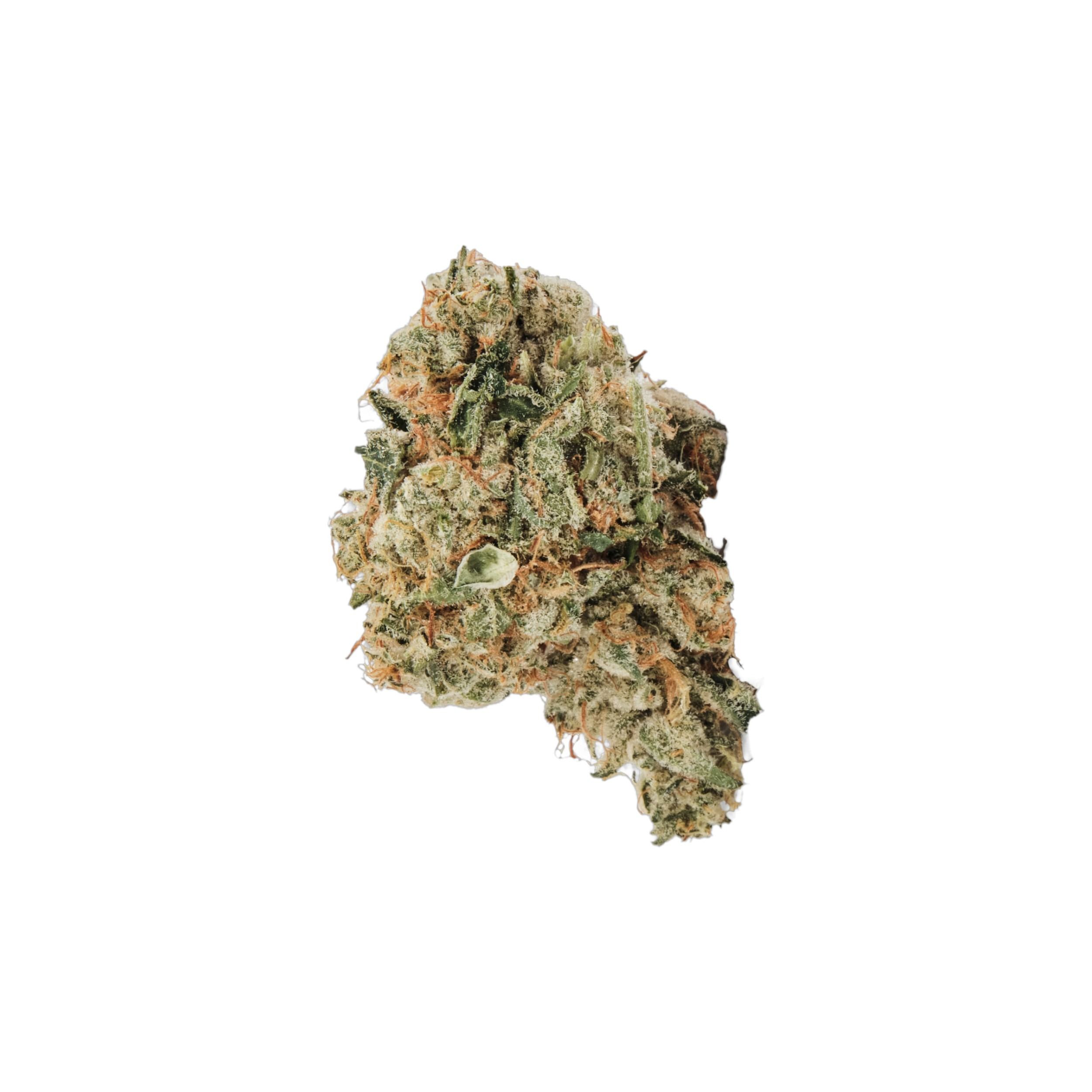 420 EVOLUTION 30/1 CA ICC