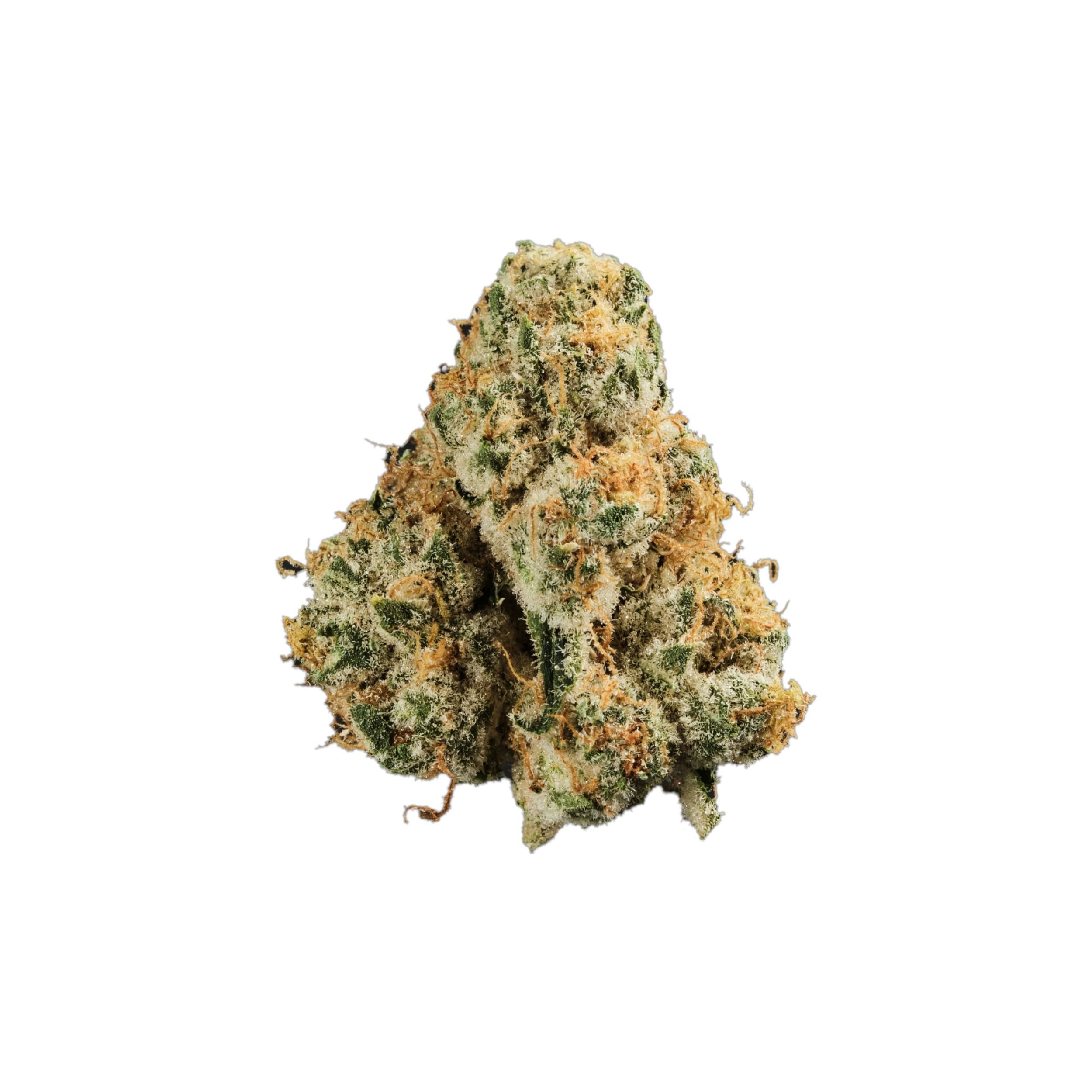 420 Evolution 30/1 CA PCH