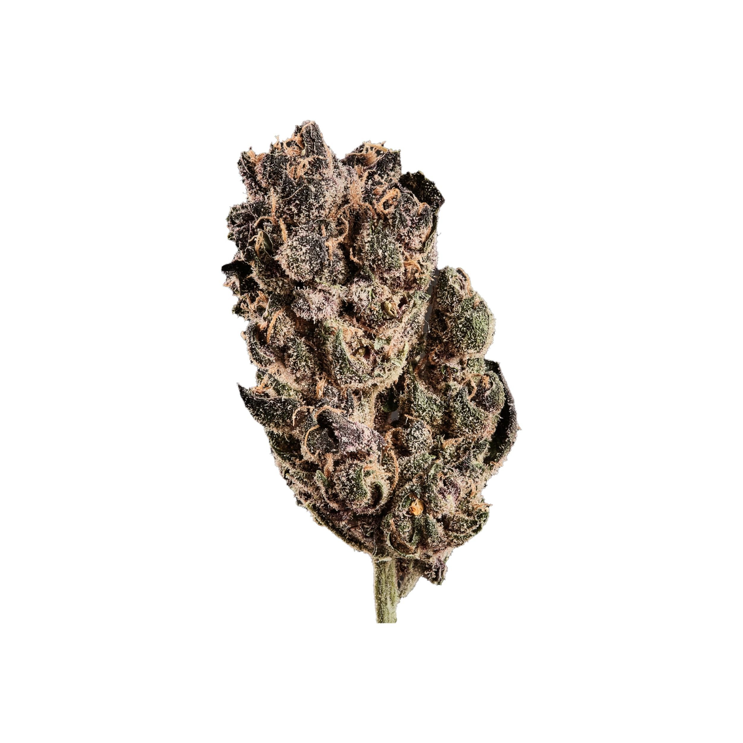 420 Natural 17/1 CA TRP