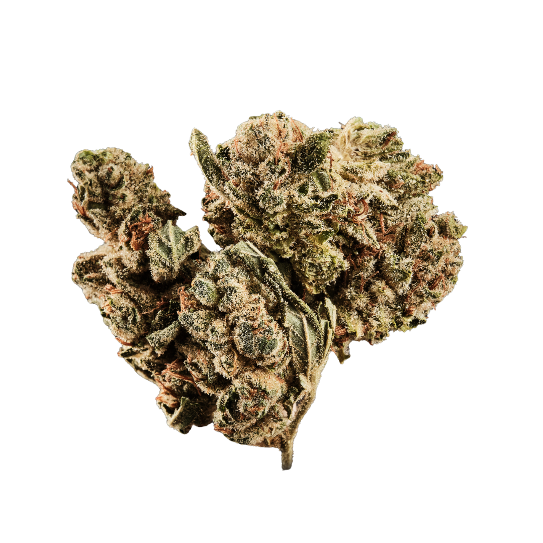 420 Natural 20/1 CA GG4 Produktfoto