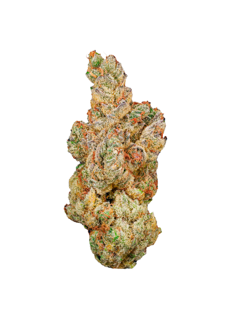 AMP OMG BURGER THC 27 Produktfoto