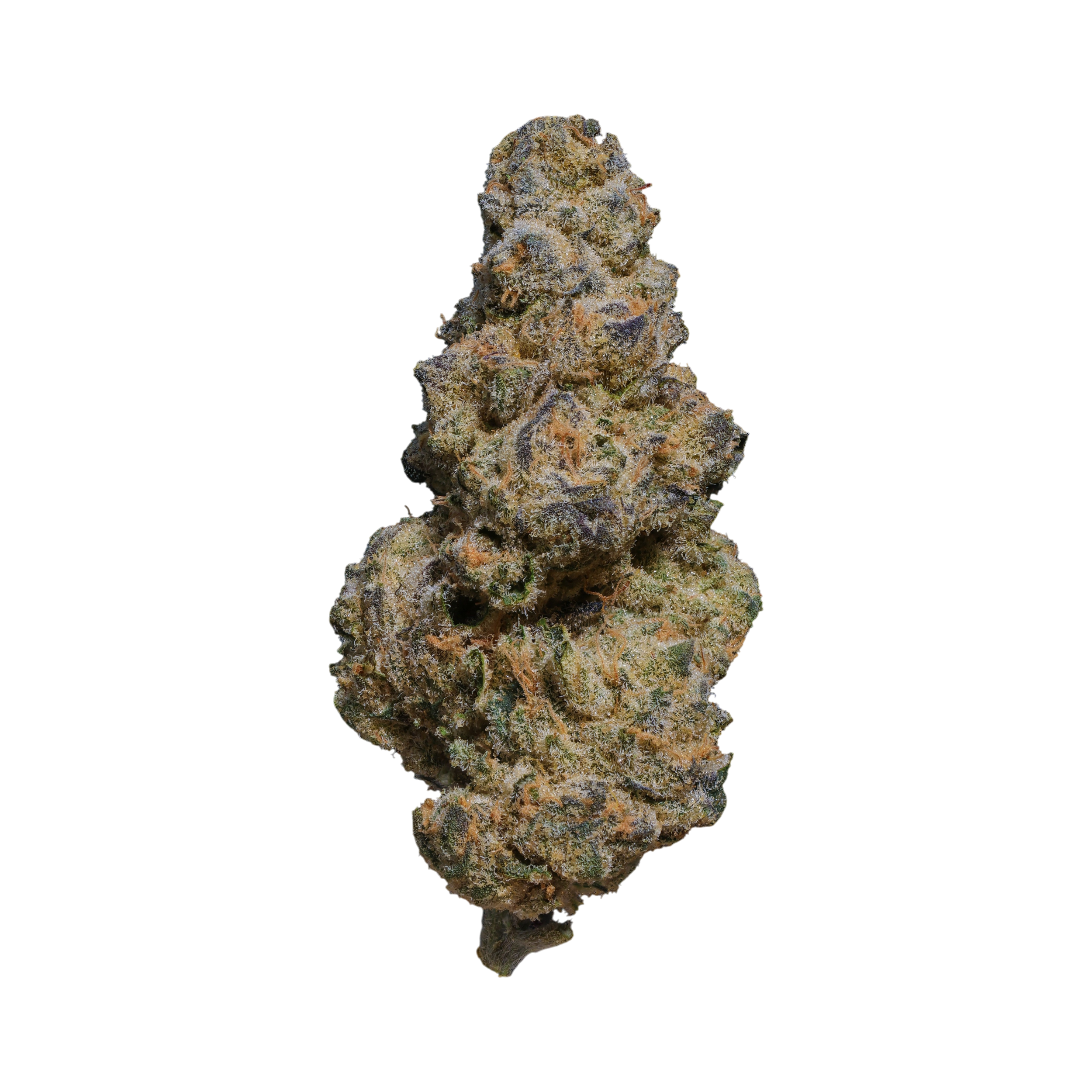 AMP Trichome CCC THC 30 Produktfoto