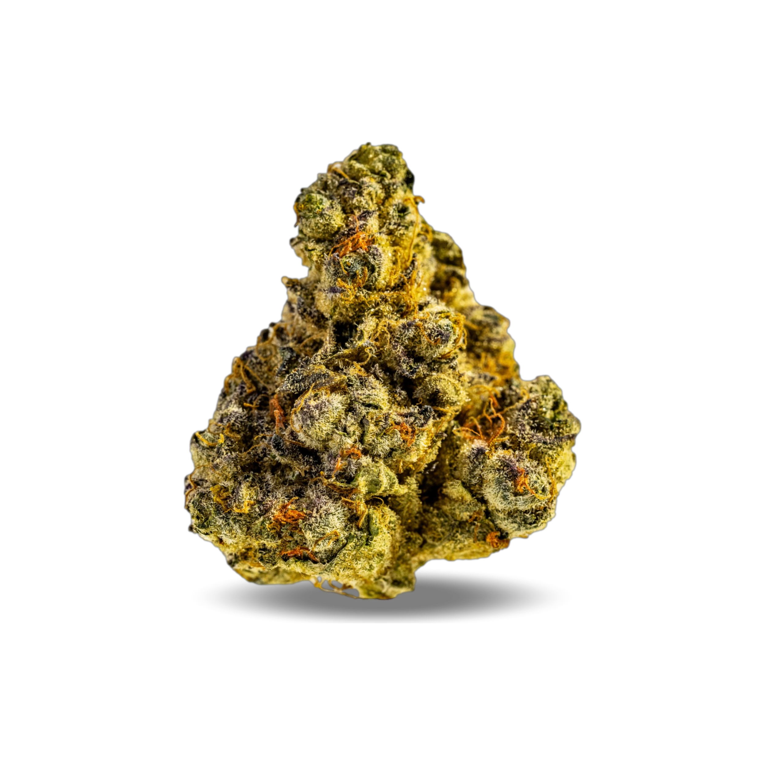 AphriaRX ARX THC25 PPV Produktfoto