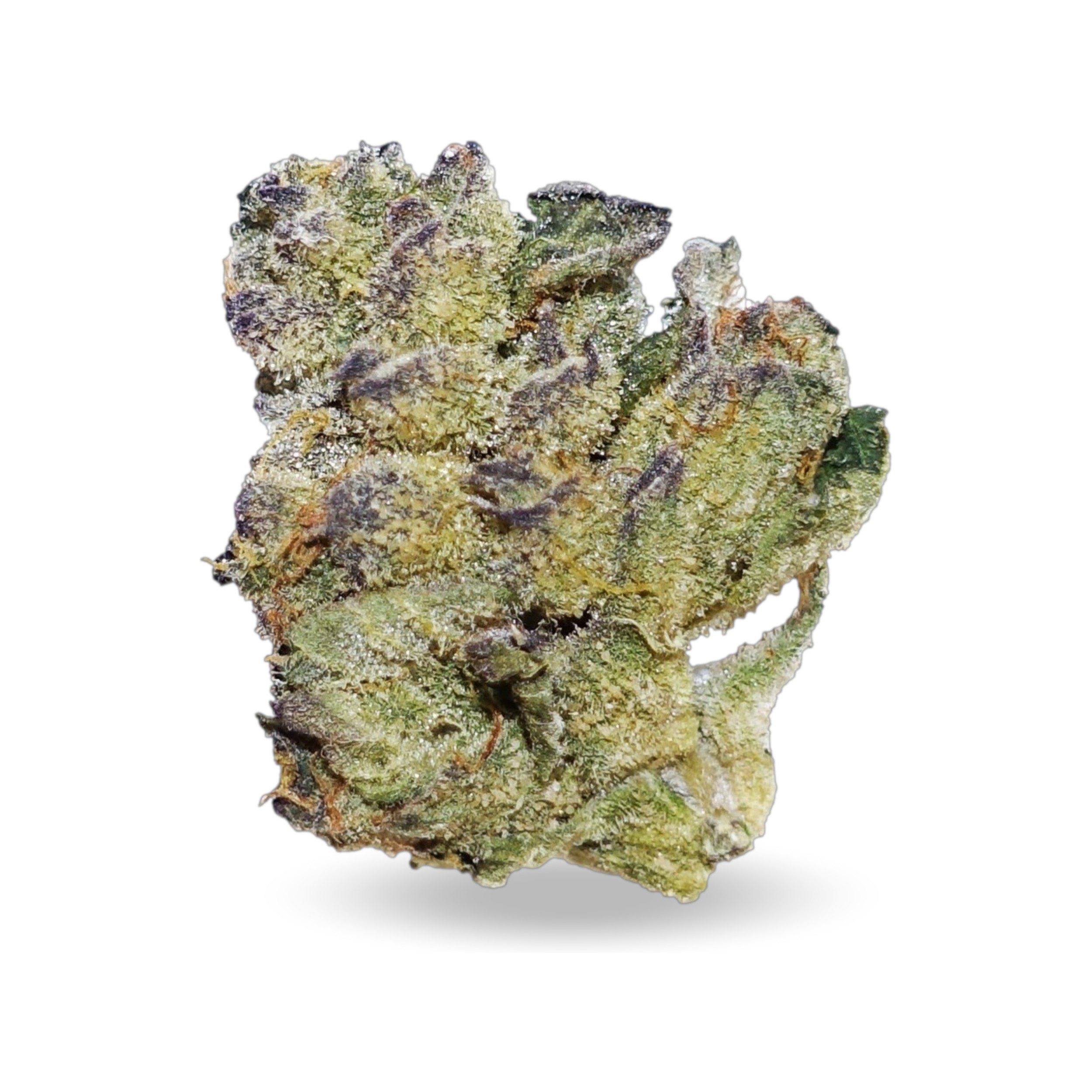 AphriaRX ARX THC25 SNS