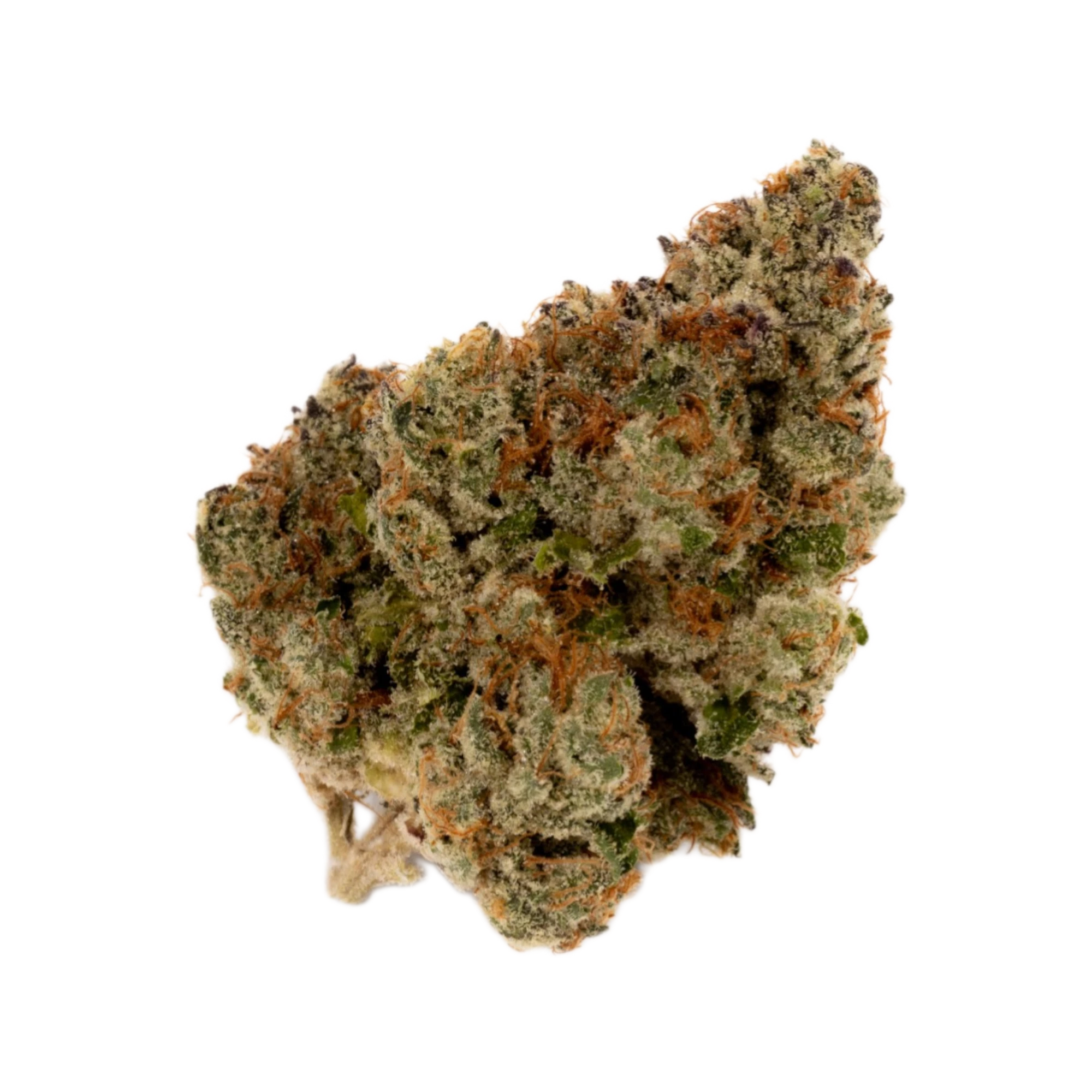 BOTANICS Golden Ace 26/1 Produktfoto