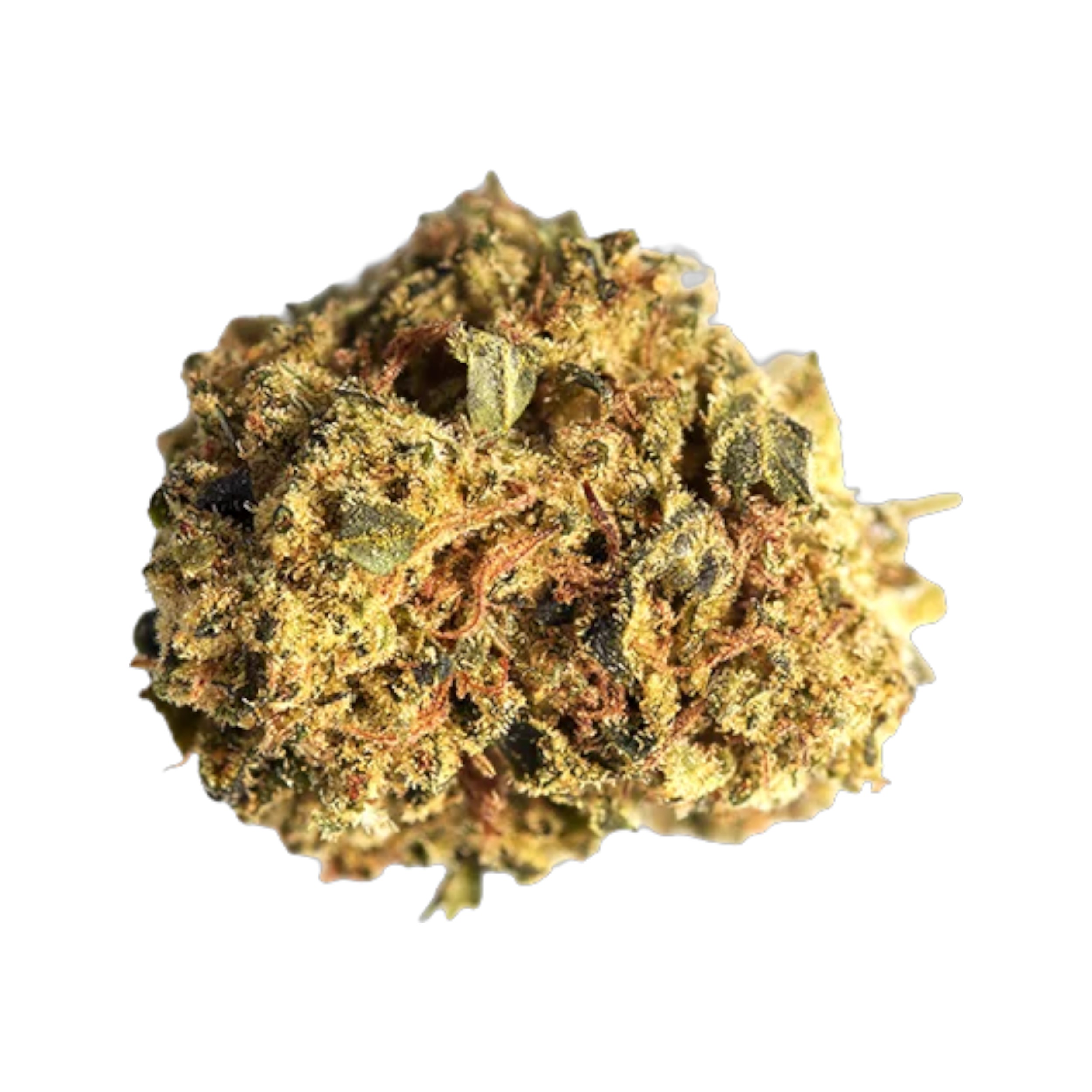 Canify Cannabis flos 20/1 UY Ku. CD Produktfoto