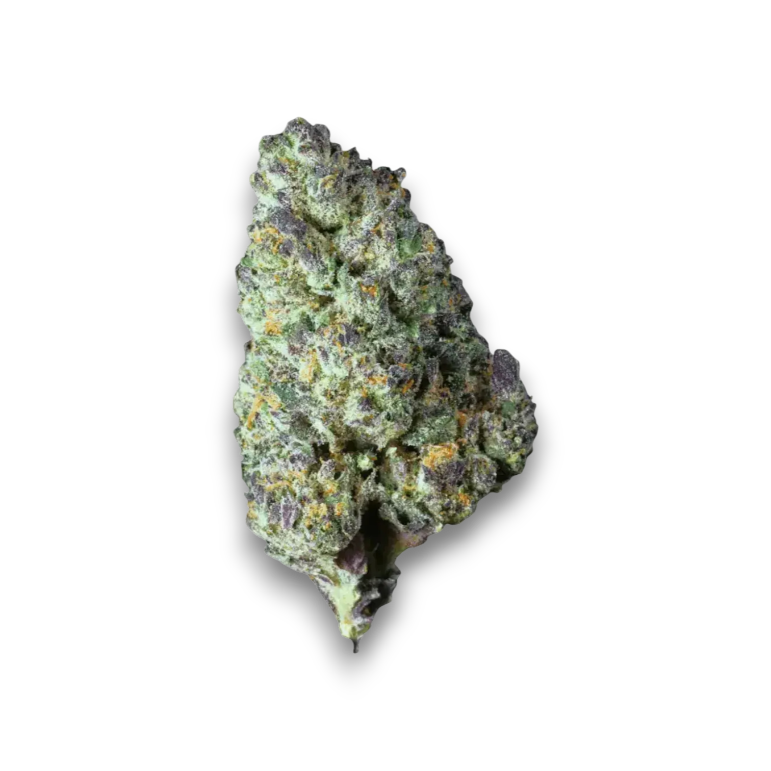 Canify Cannabis Flos 23/1 CSF Ku. Produktfoto