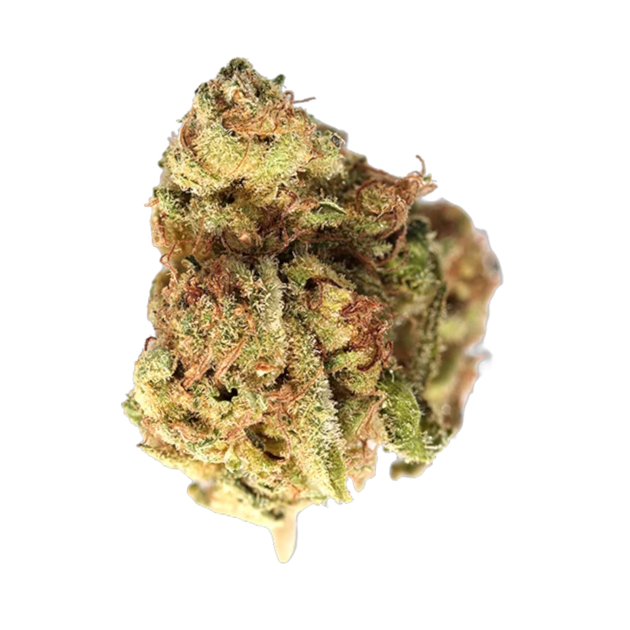 Canify Cannabis flos 20/1 ES Ku. DYD Produktfoto