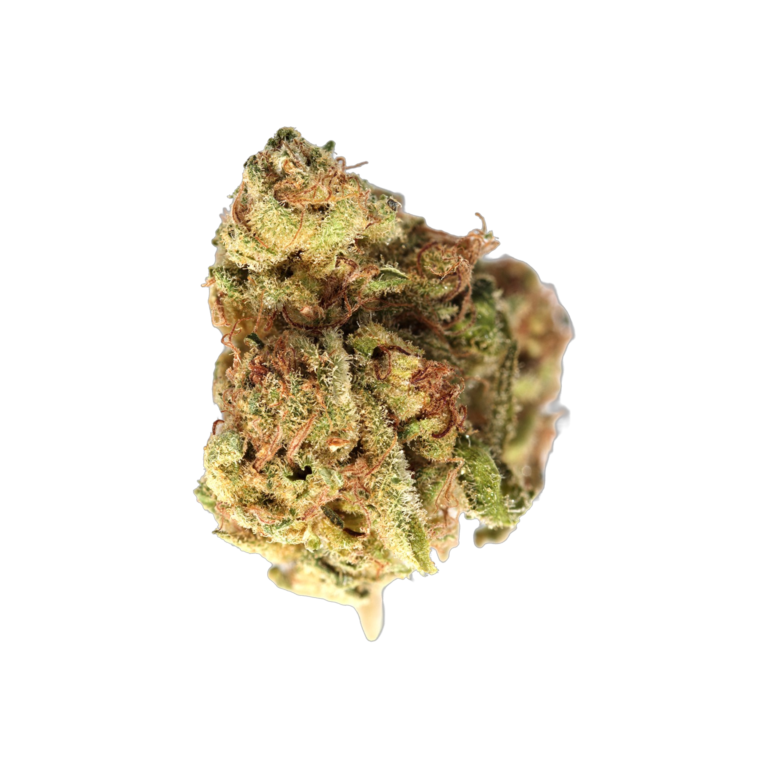 Cannabis flos 23/1 ES Ku. Dos Y Dos DP product photo