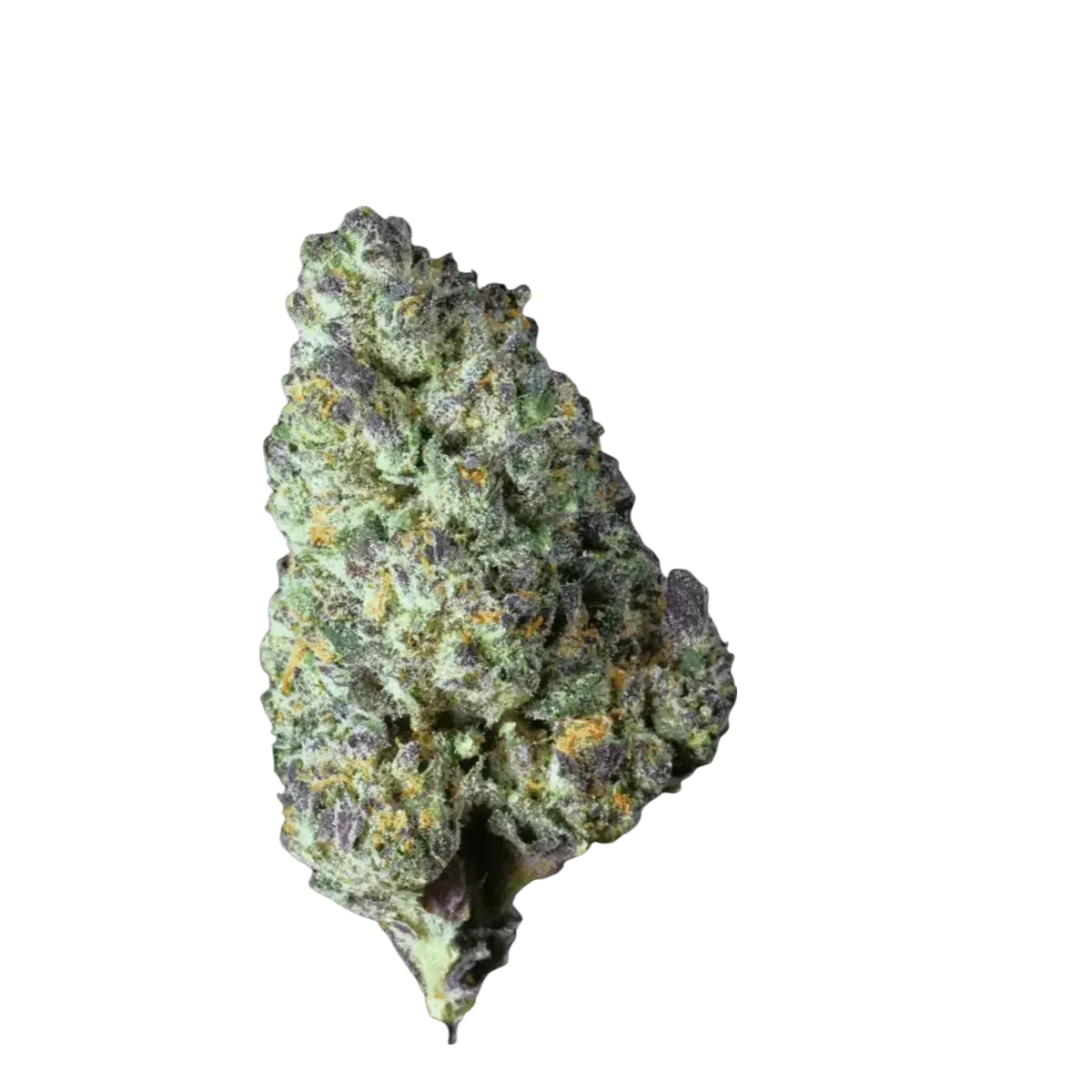 Canify Cannabis Flos 25/1 CSF product photo