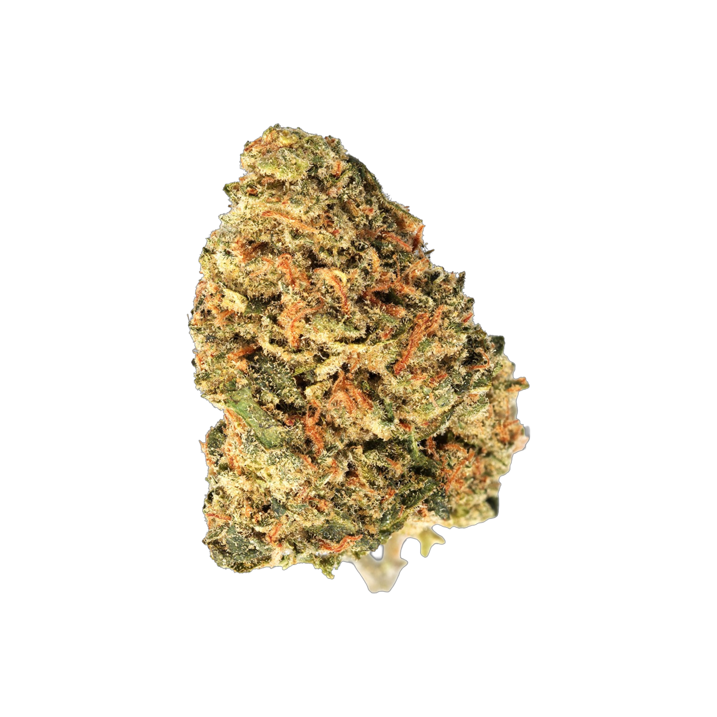 Cannabis flos 25/1 CSF Carnez Citric DP Produktfoto