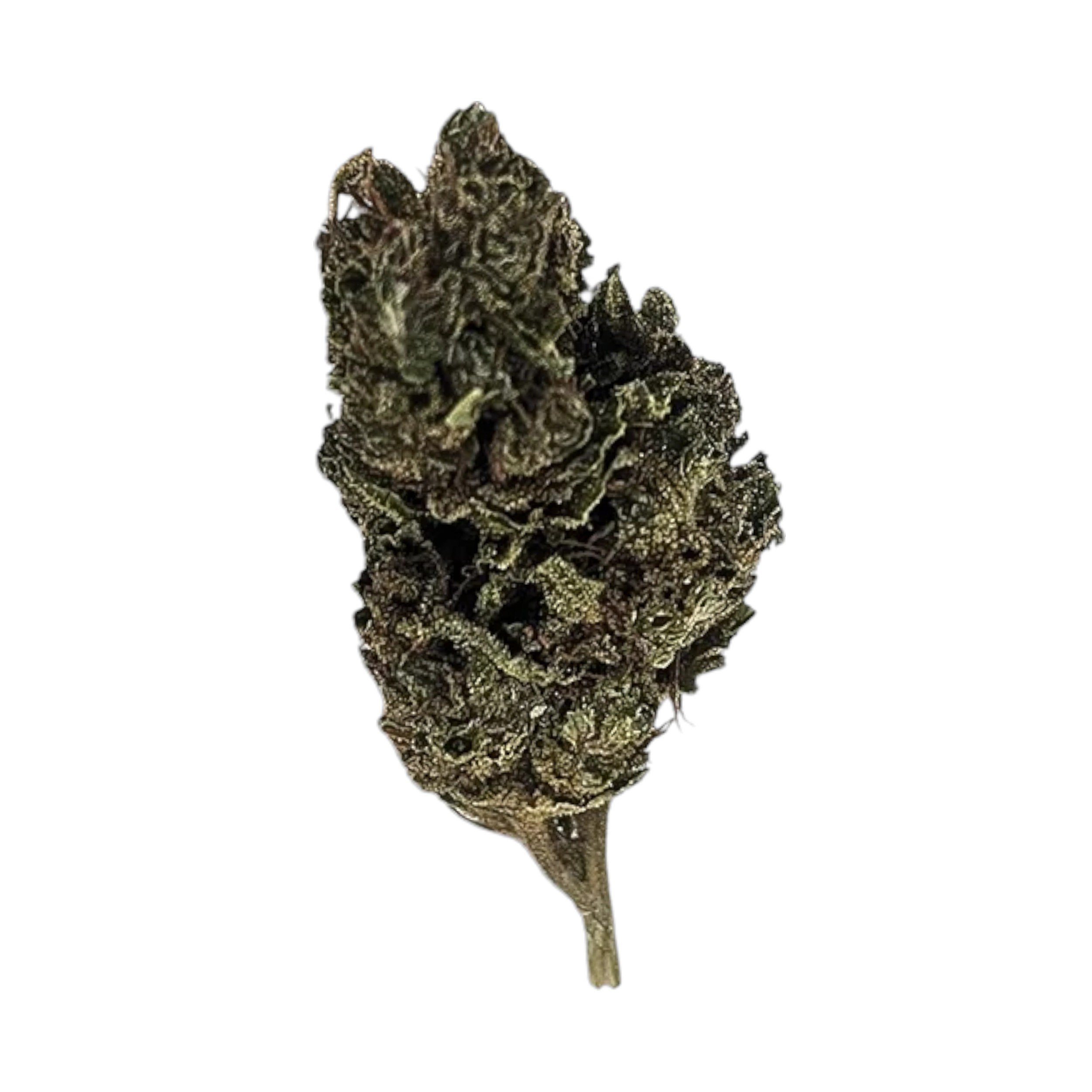 Canify Cannabis flos 8/9 LS Ku. product photo