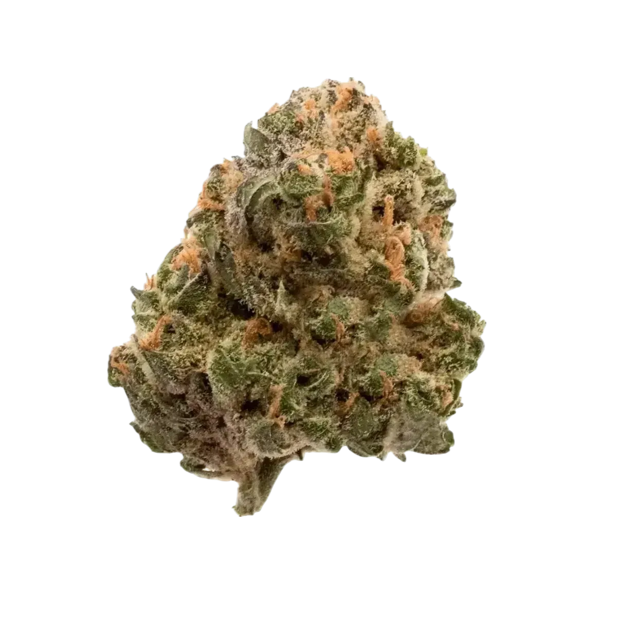 cannamedical hybrid forte nm gorilla zkittlez