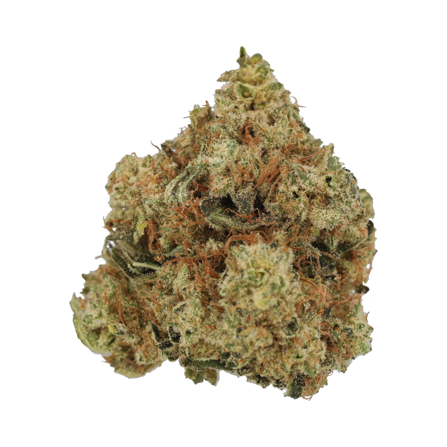 Cannamedical Hybrid Forte DK 24/1 Produktfoto