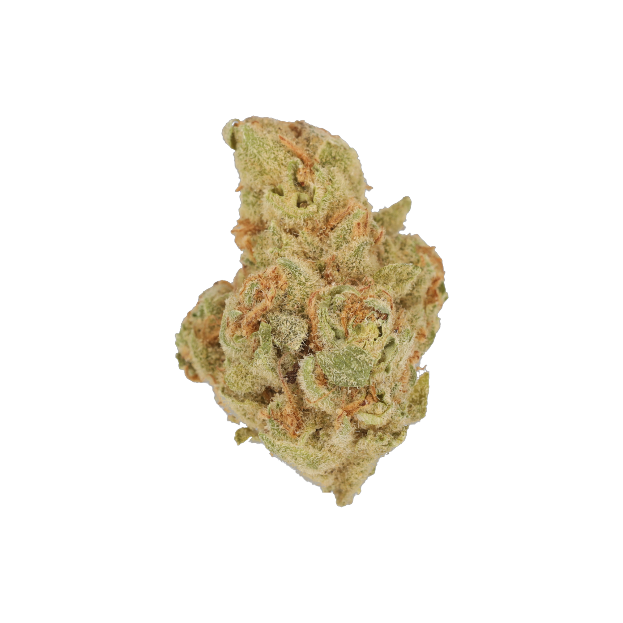 Cannamedical Indica classic ZAF