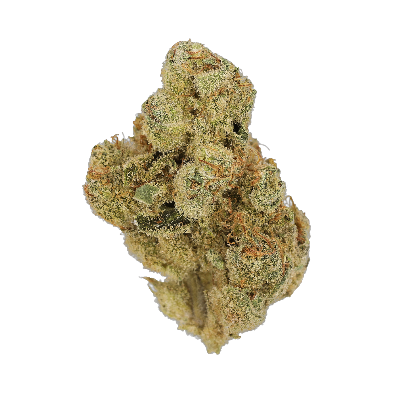 Cannamedical Indica Forte BC TB