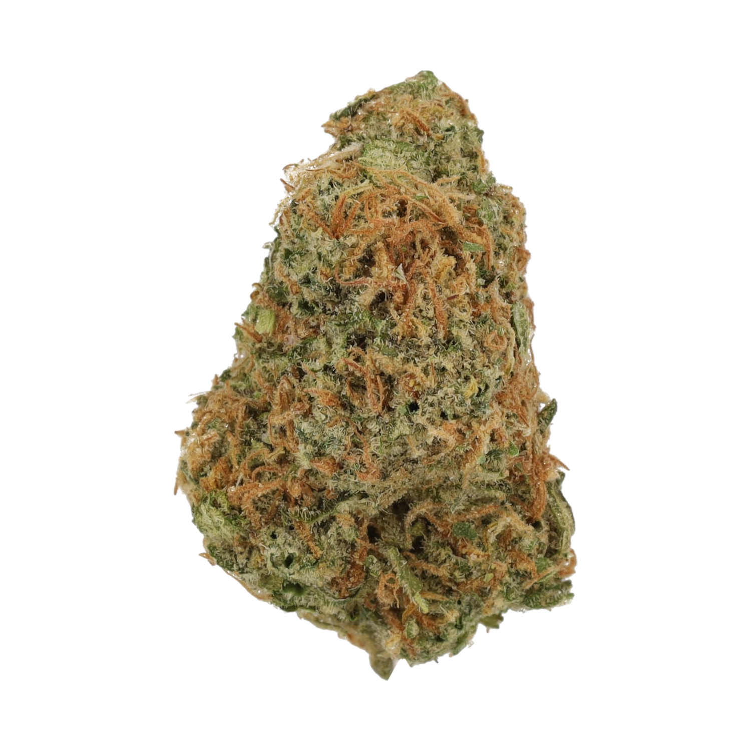 Cannamedical Sativa Forte NM GD Produktfoto