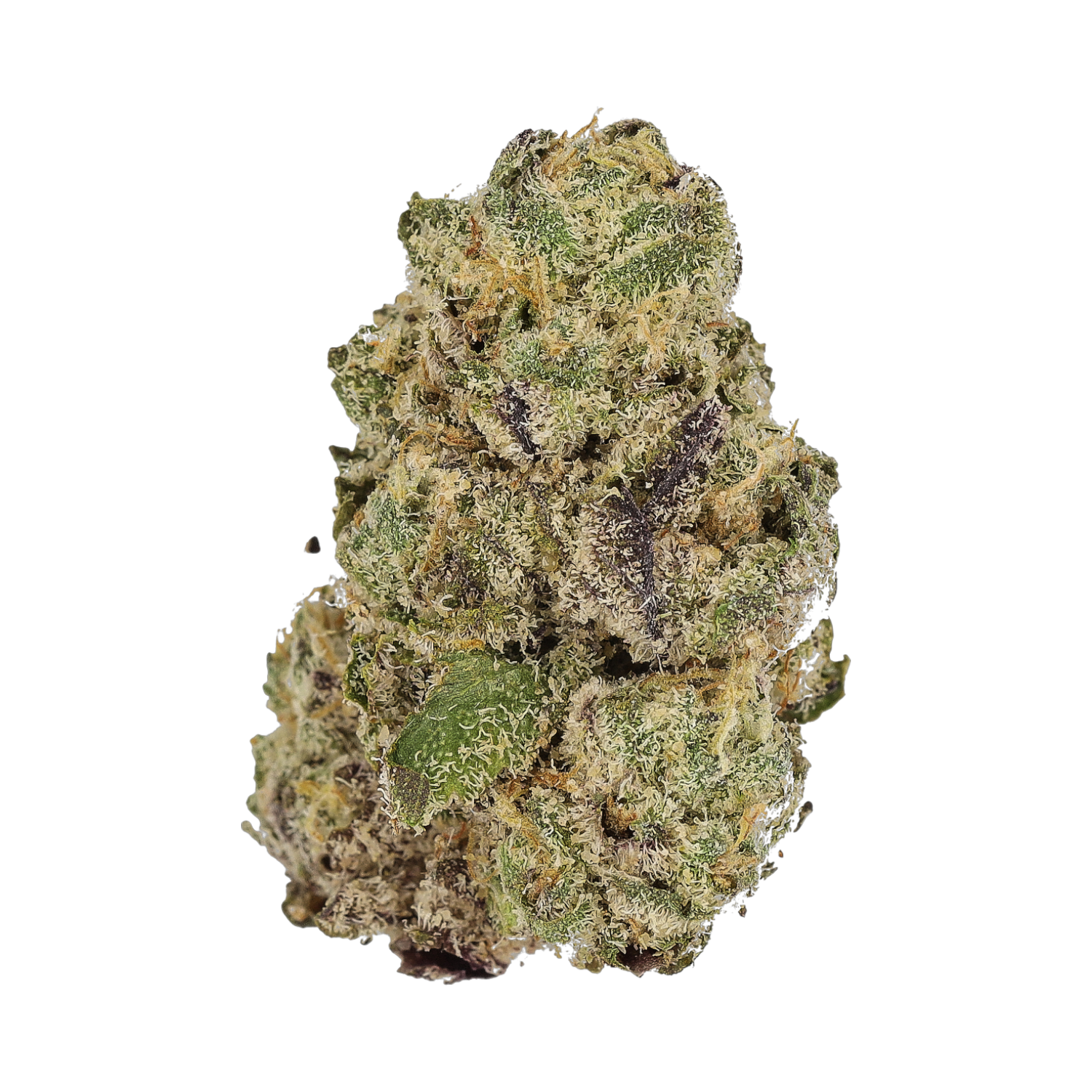 Cannamedical Sativa forte NM WT