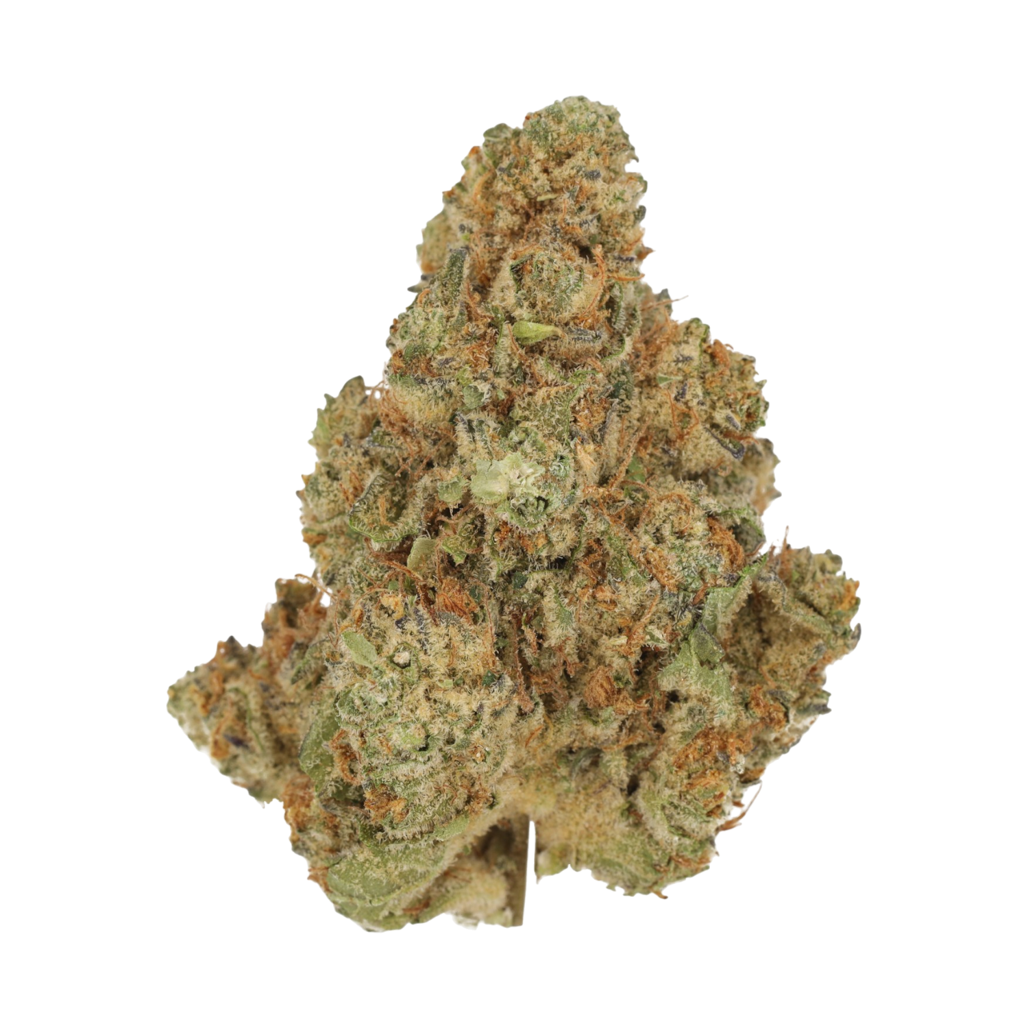 Cannamedical Sativa forte Venomz Eve