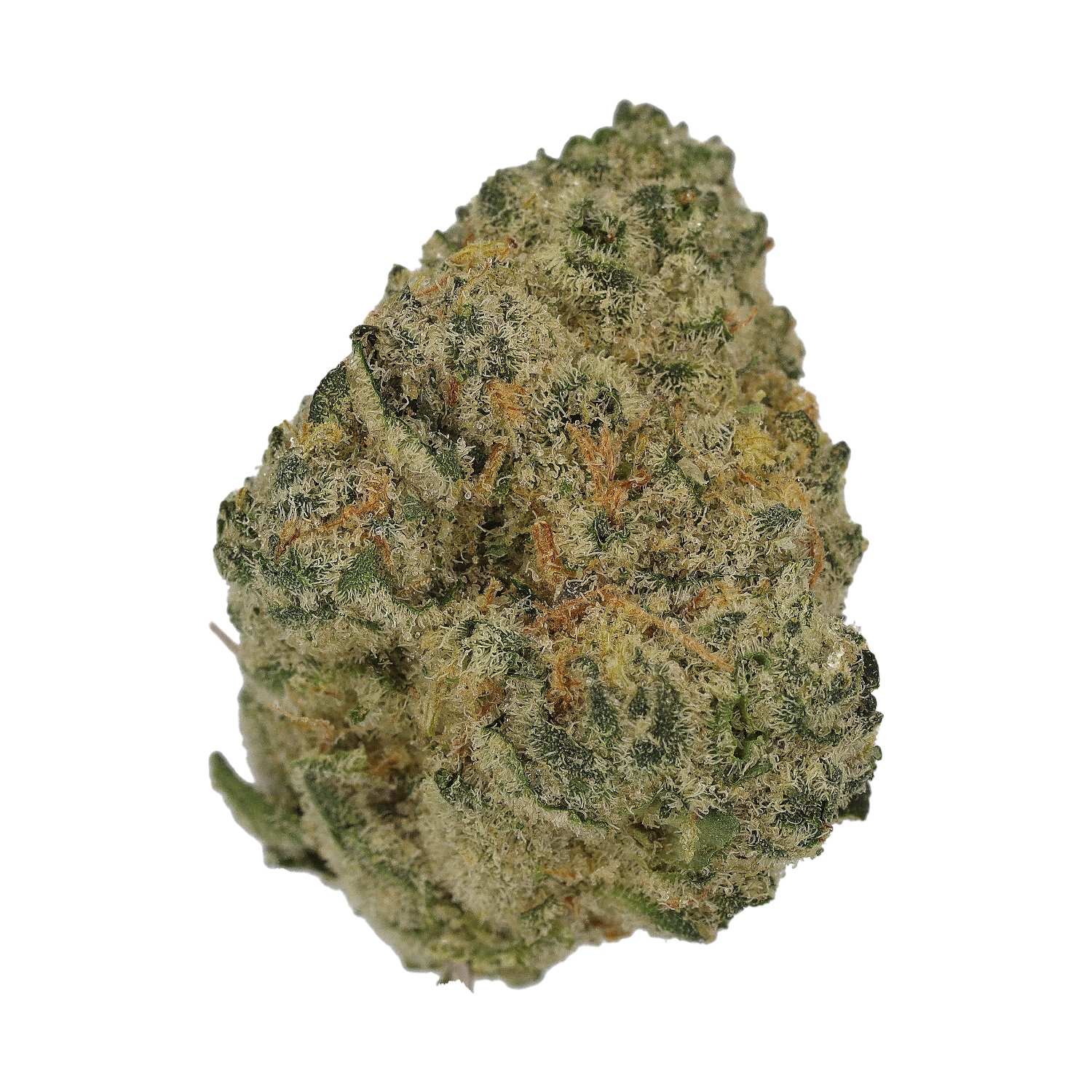 Cannamedical Sativa Ultra NM Produktfoto