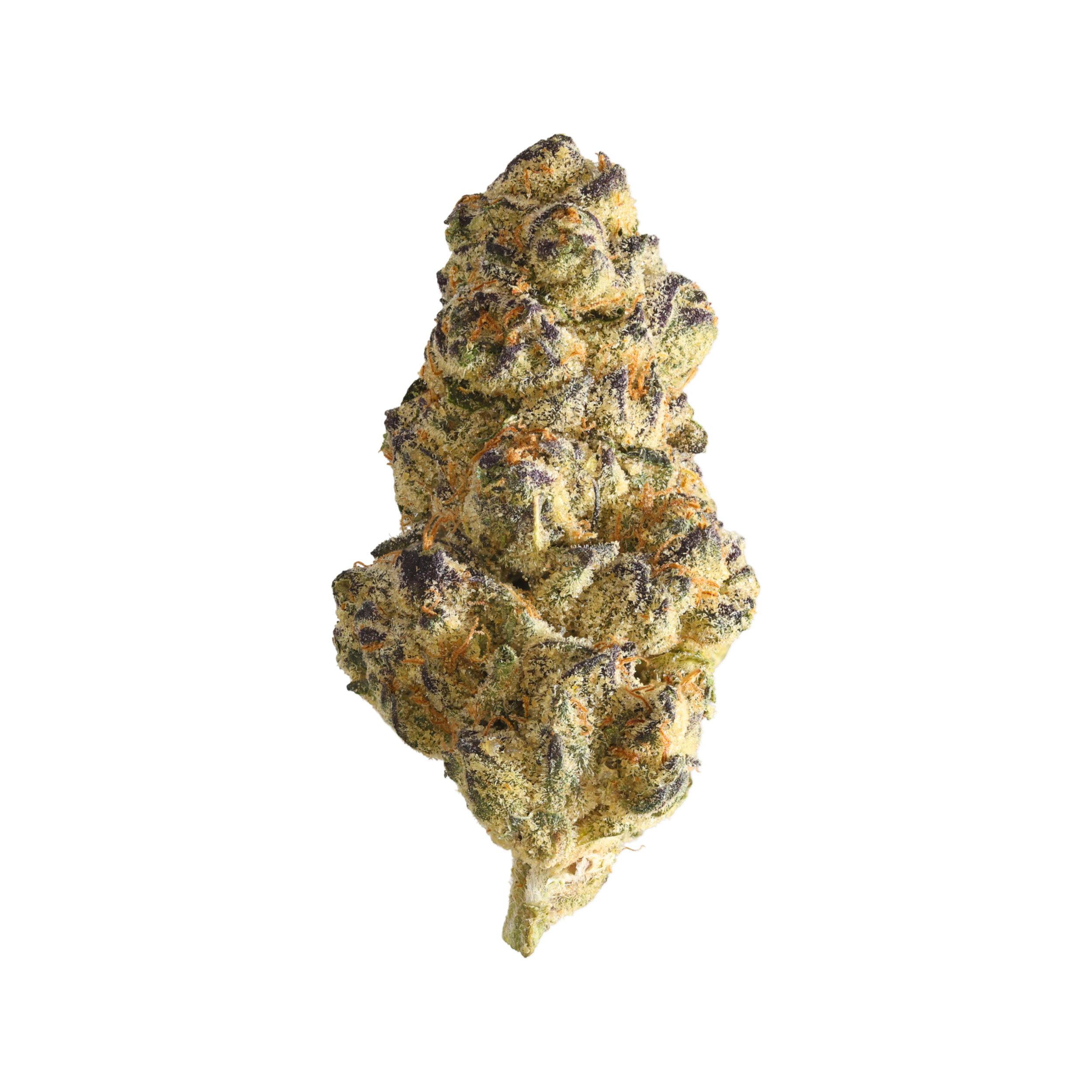 Ceres RP product photo