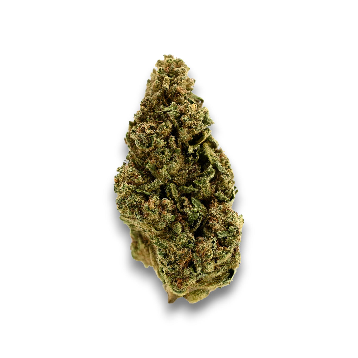 Demecan HS Light Drop Rainbow Dawg product photo