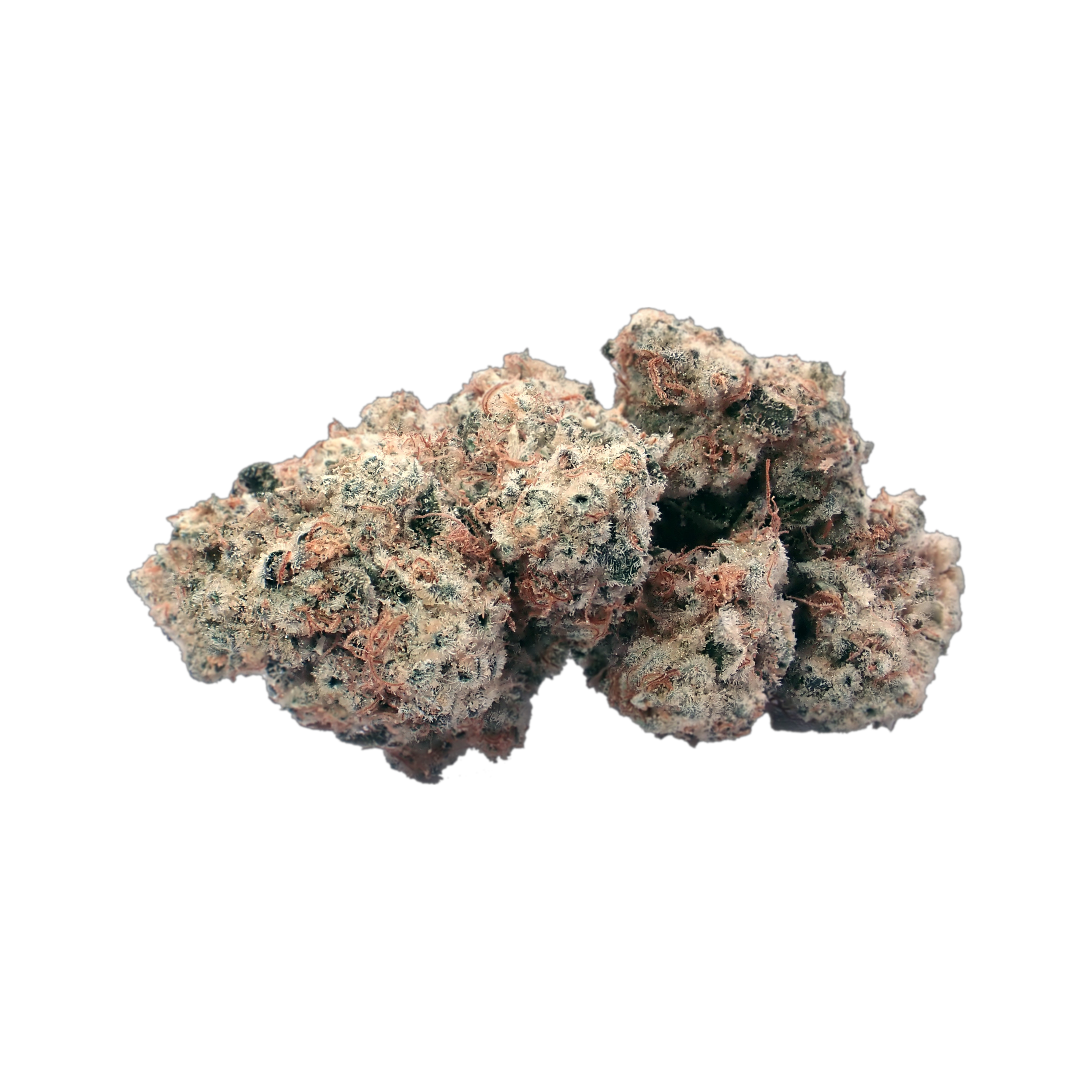 Demecan MC Regular Drop 25/1 Produktfoto