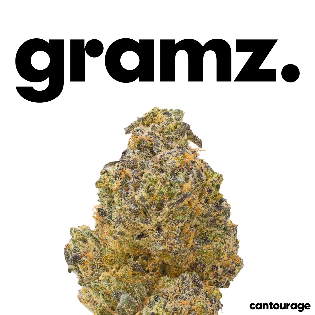 gramz. 002 RC 30/1