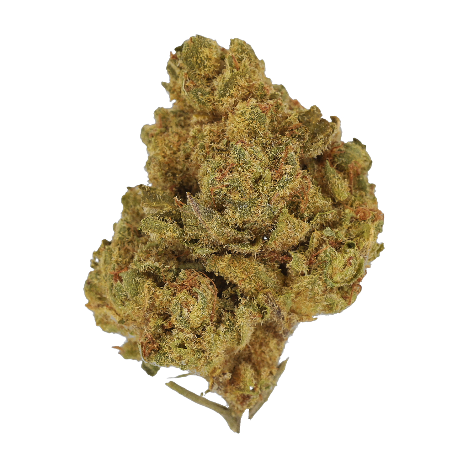 Indica forte NG Produktfoto