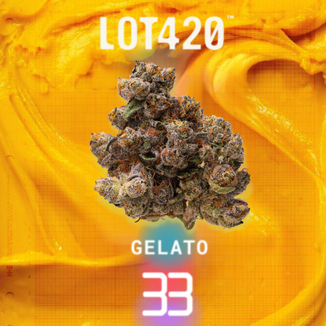 LOT 420 GLT PT Produktfoto