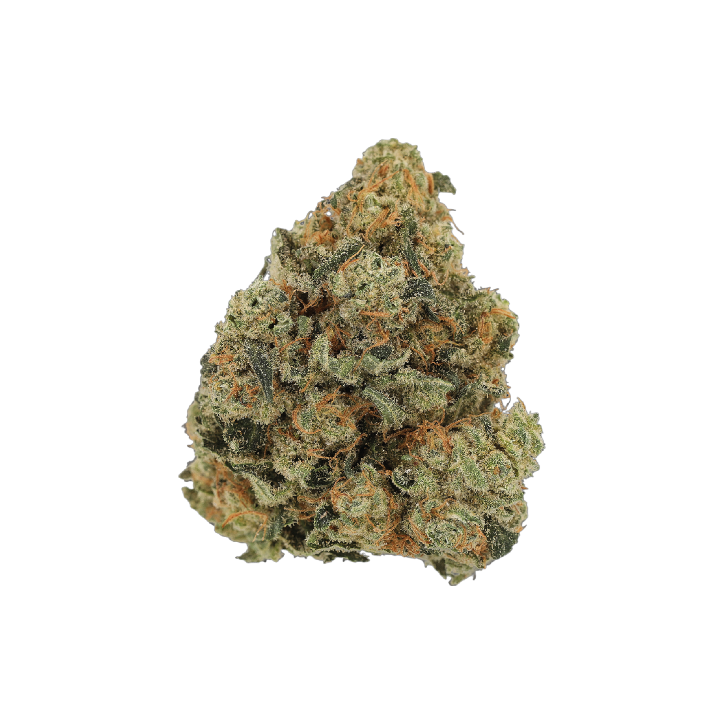Luana 20/1 GSC