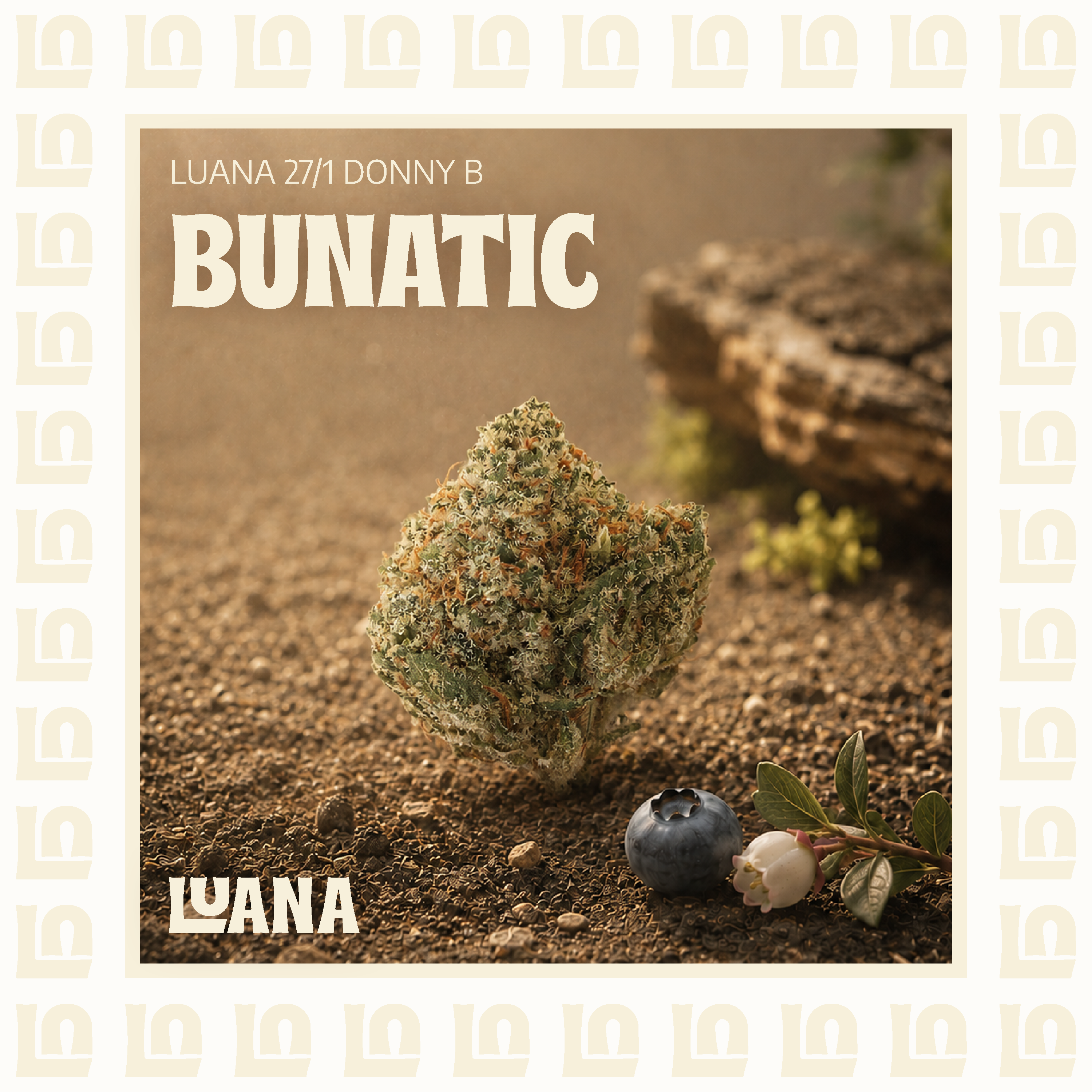 Luana 27/1 Donny B
