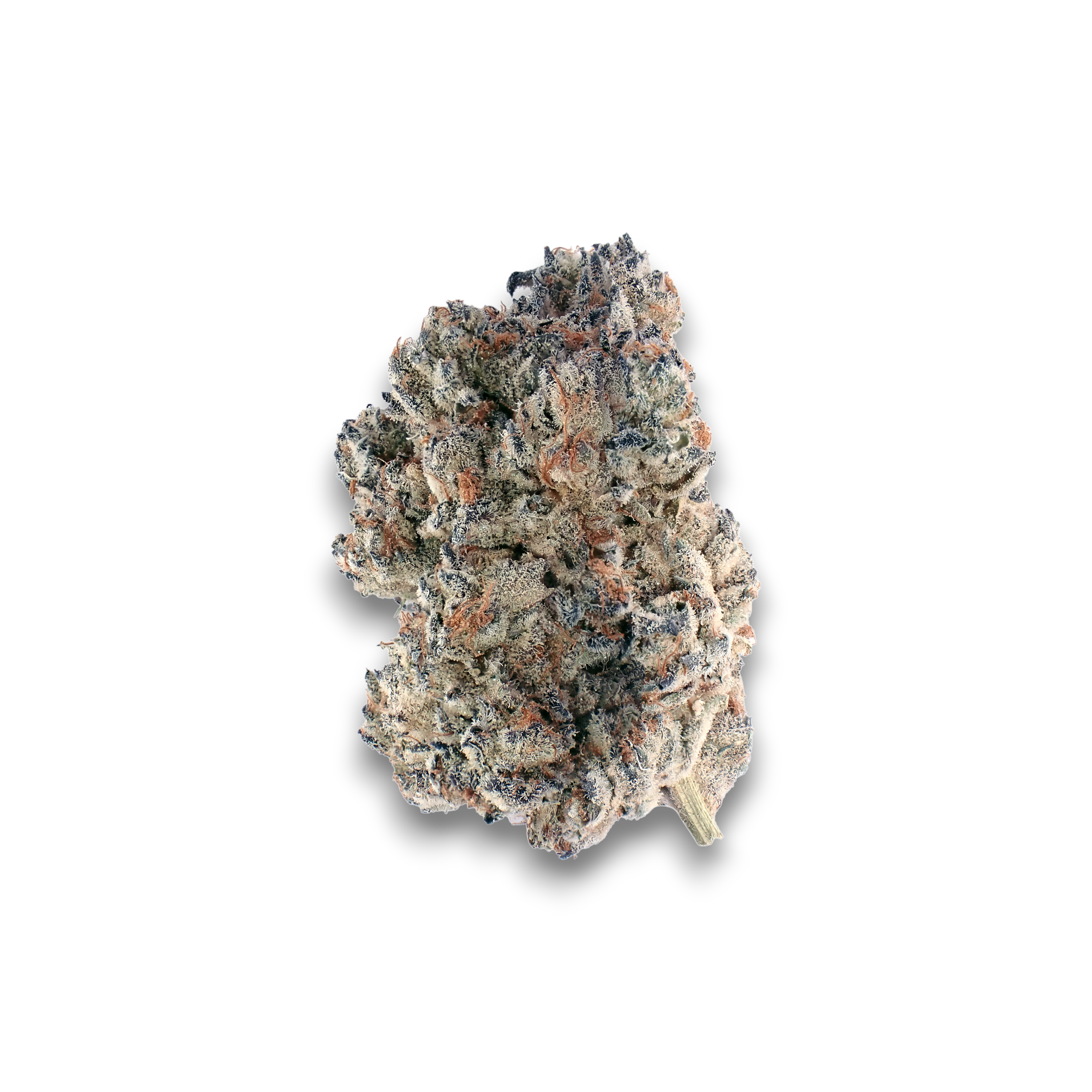 Demecan MC Regular Drop Produktfoto