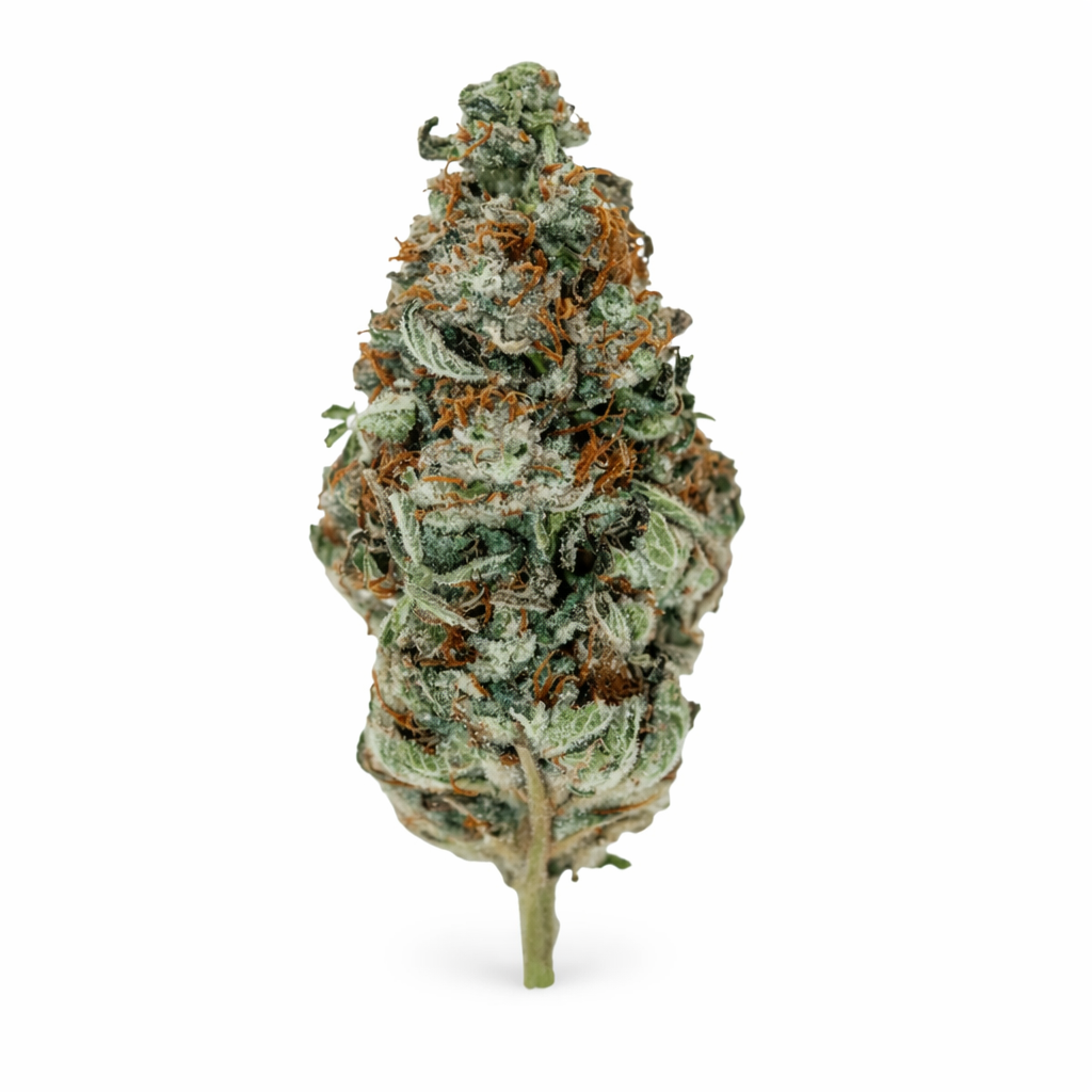 cannabis gleitgel foria Gleitgel vet. 1000 ml günstig kaufen