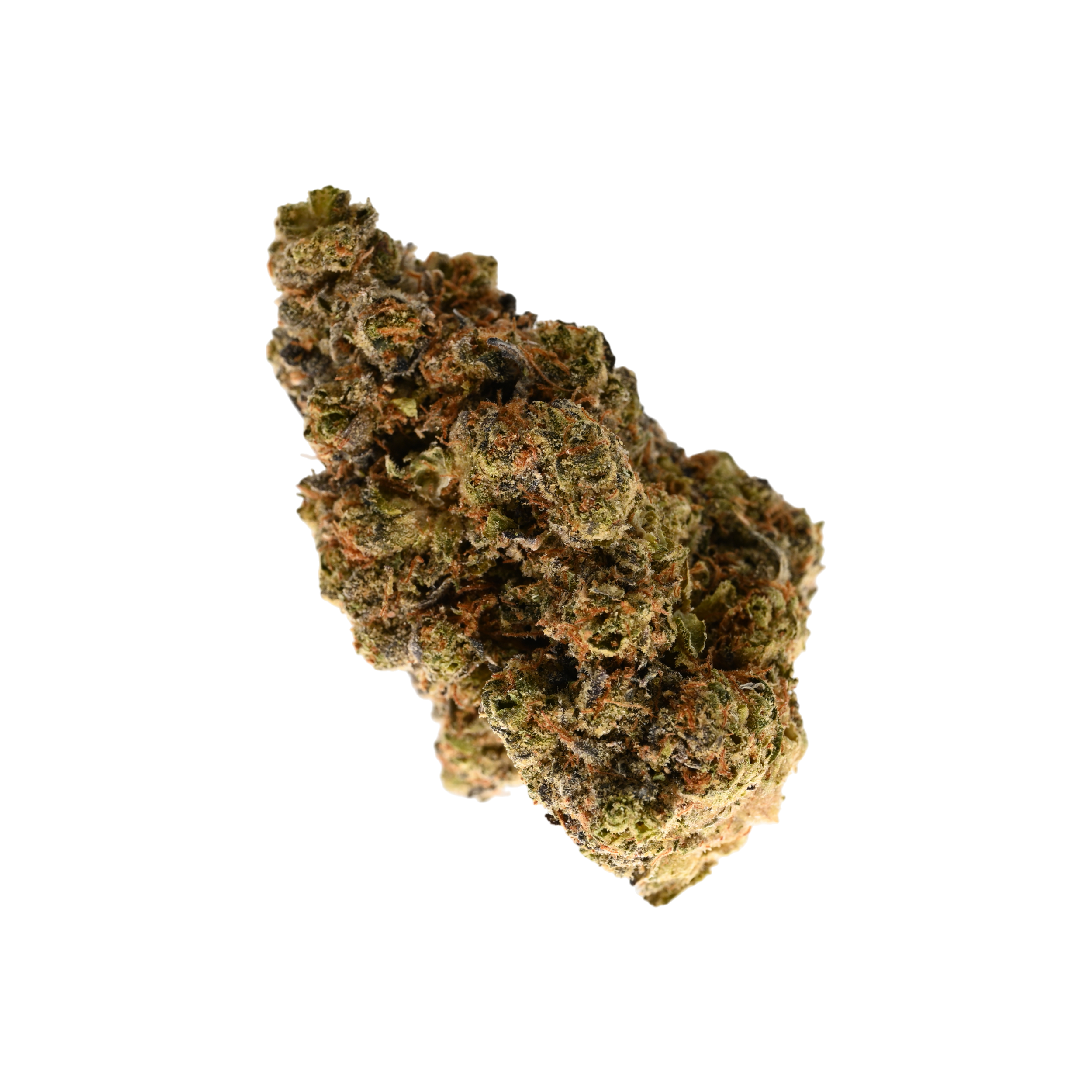 NICE 28/1 GSC