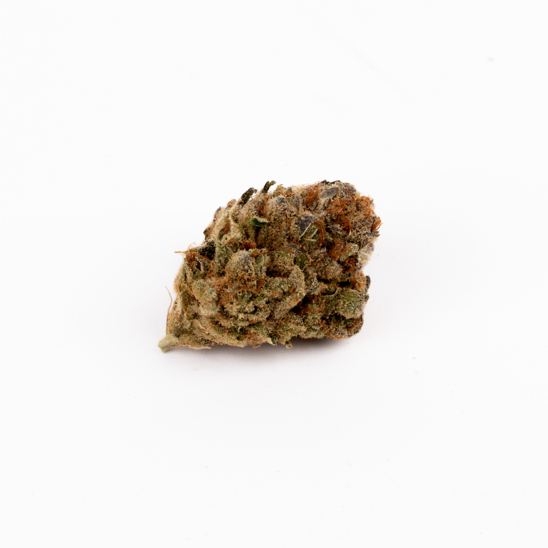 Nimbus easy 22/1 La Sage