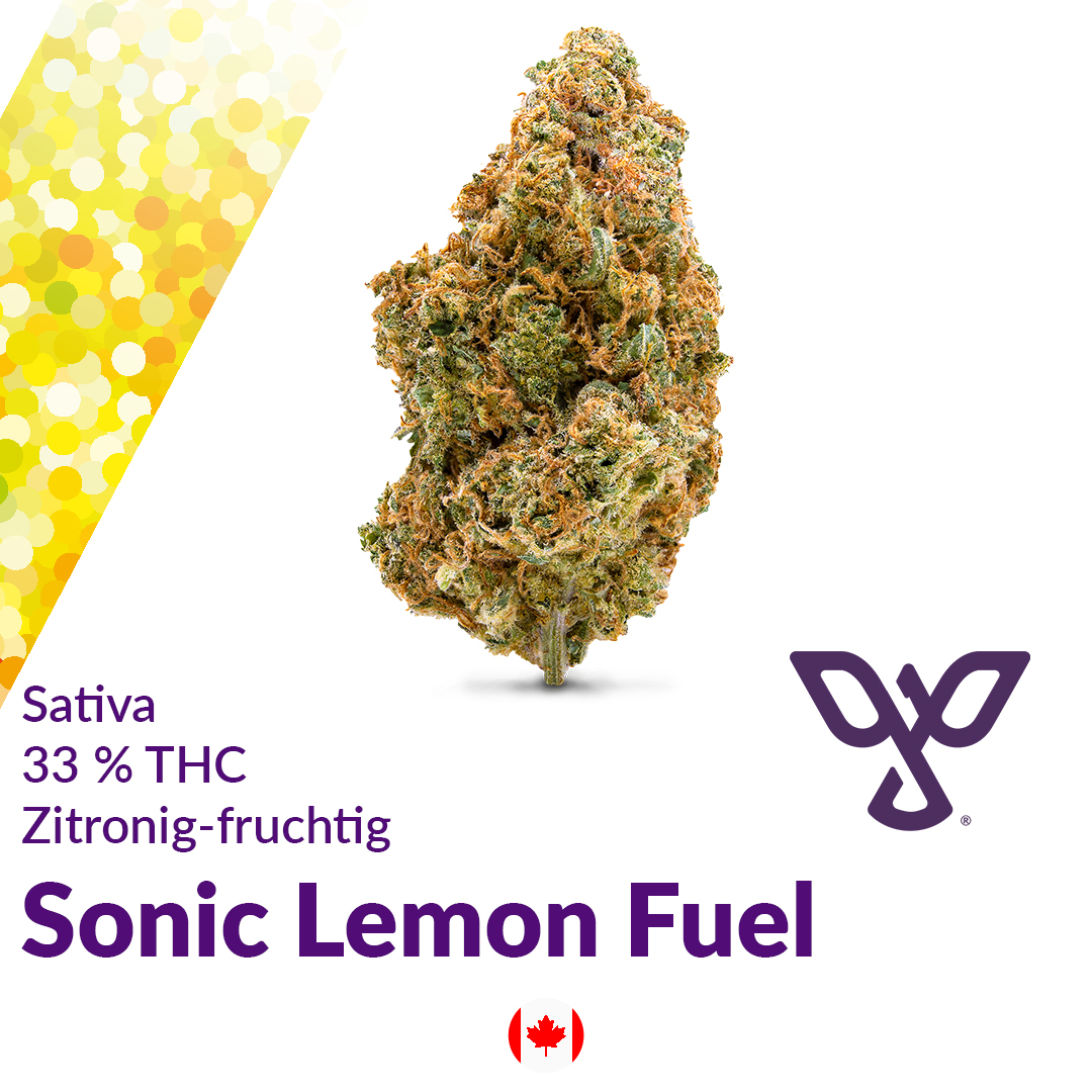 Peace Naturals 33/1 SL