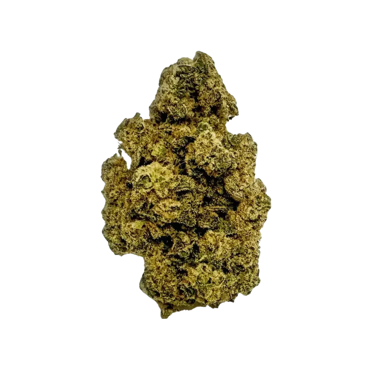 Soma OG 34/1 PF product photo