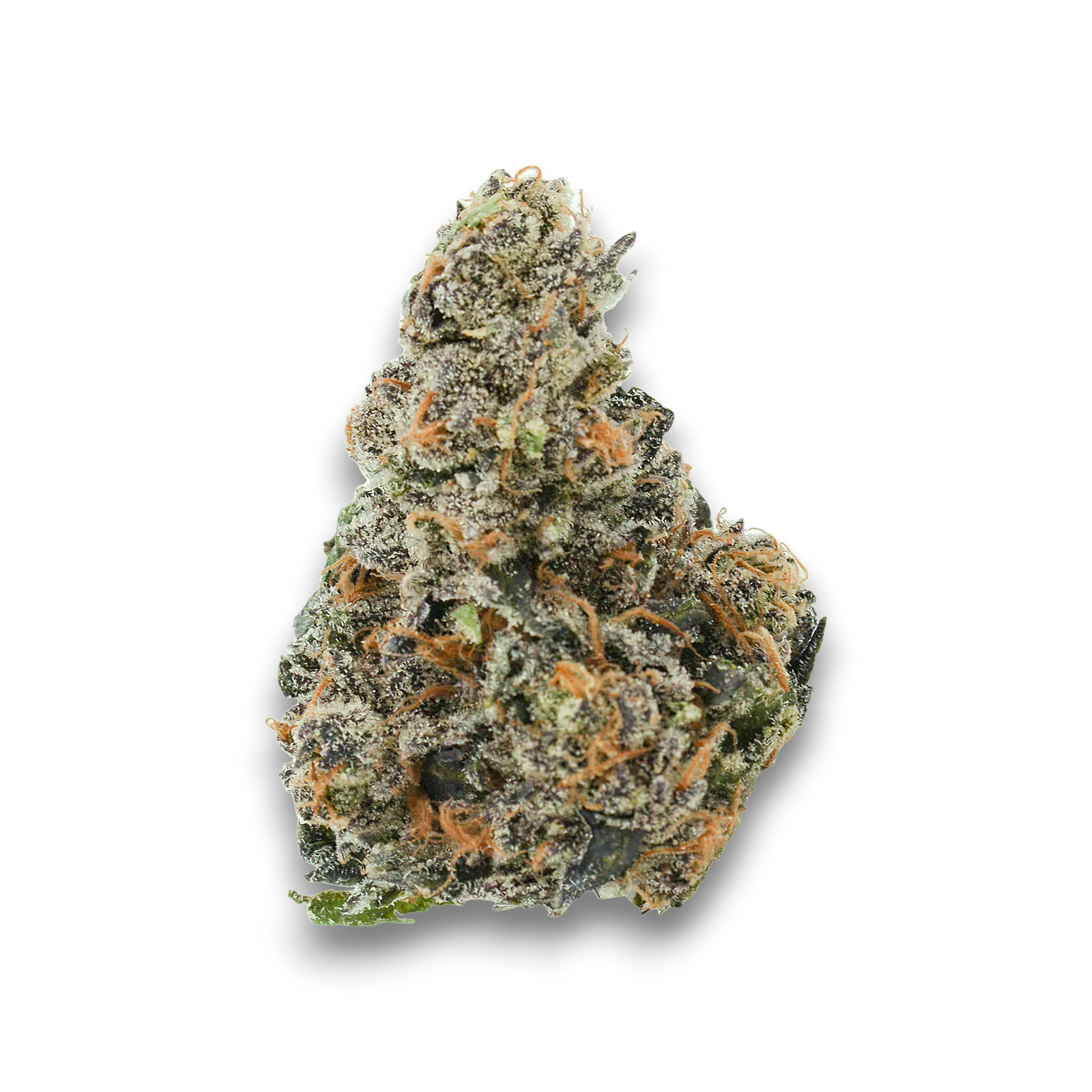 Tikun Noga 27/1