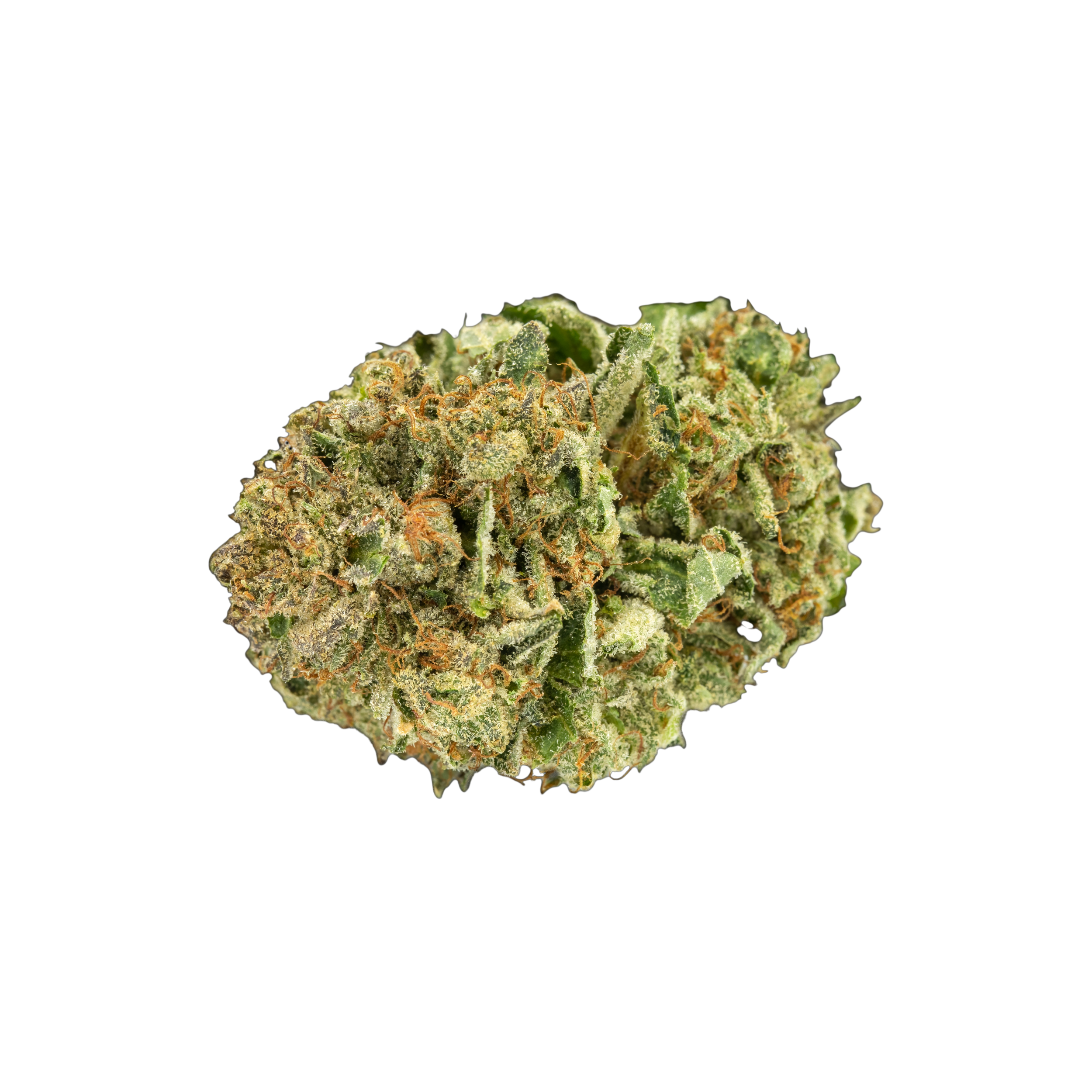 Tilray Cannabisblüten THC18 Hybrid No. 2 Produktfoto