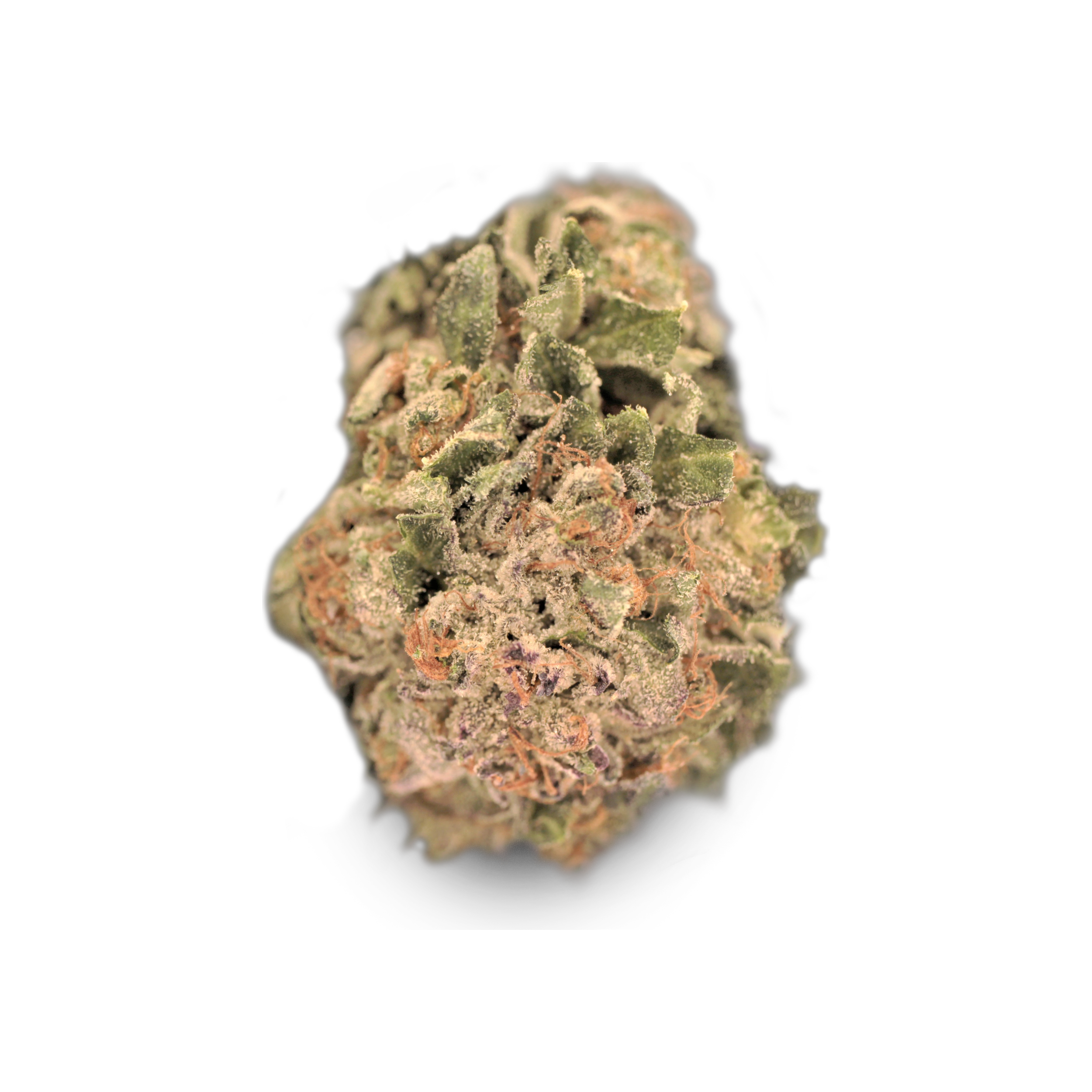 TILRAY Cannabisblüten THC25 Hybrid No.4