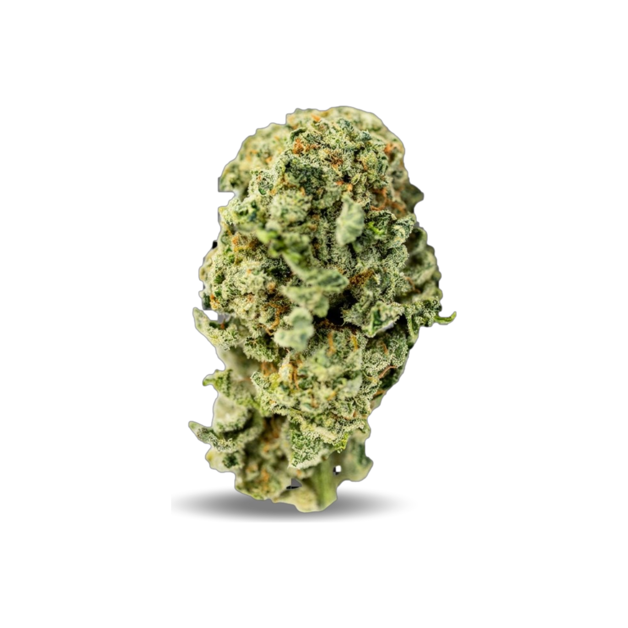 Tilray THC 15 Spotlight Porto