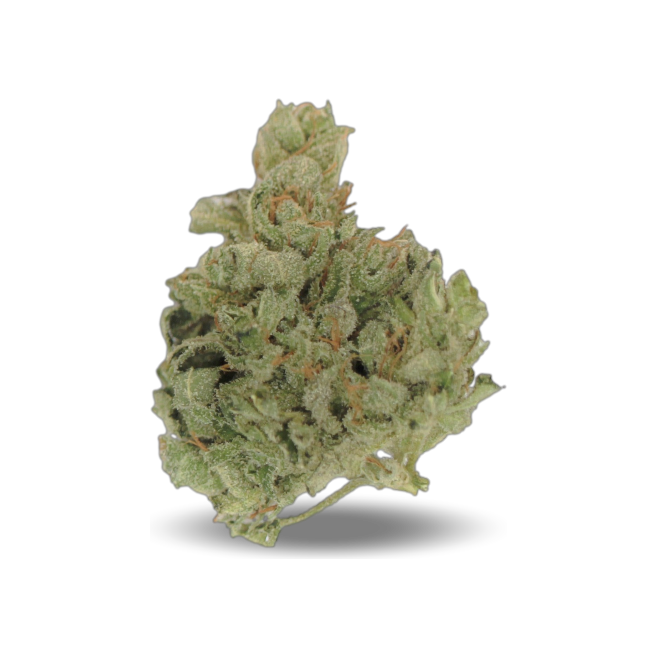 Tilray THC 25 Sativa No 4 ISS