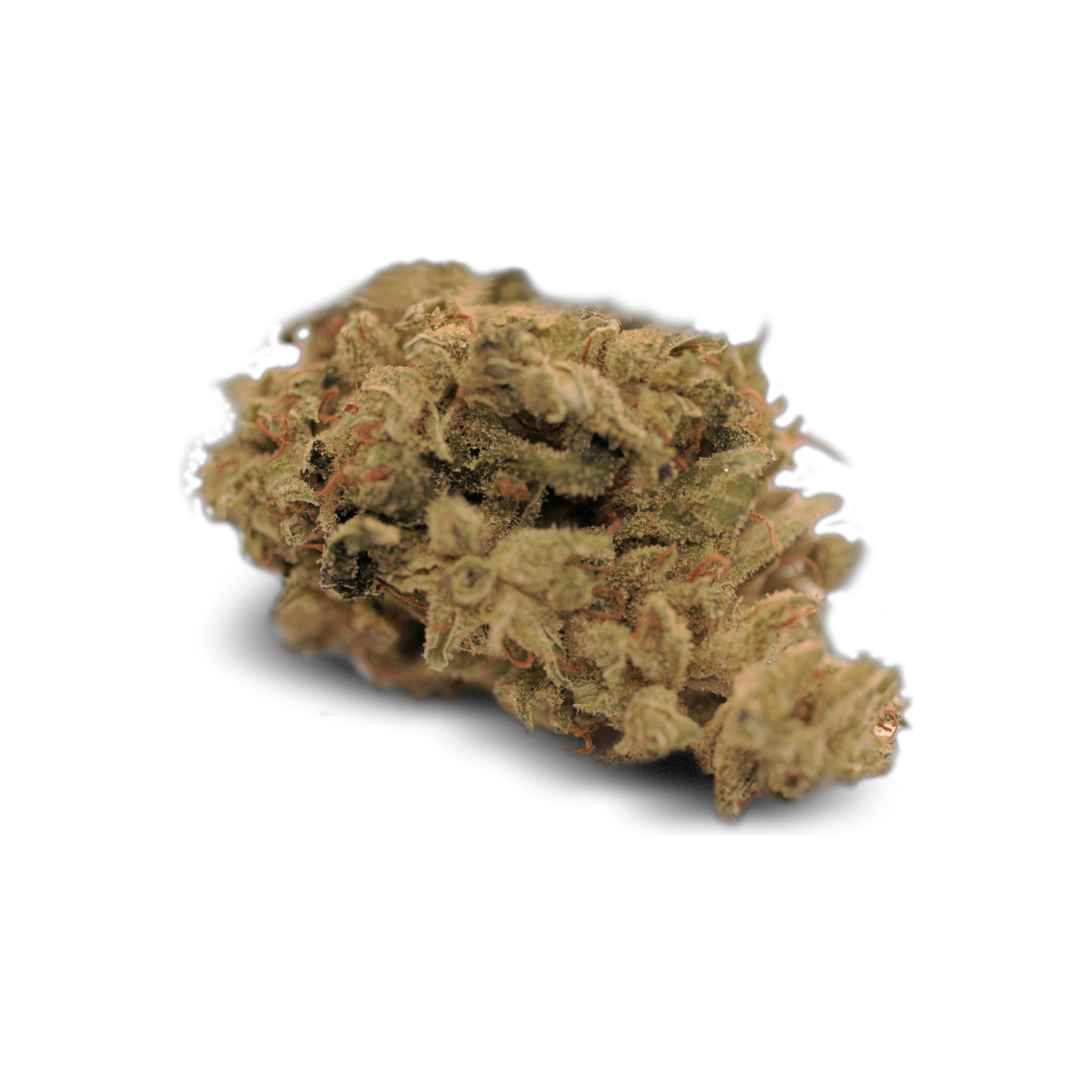 Tilray THC 25 Spotlight Porto ISS